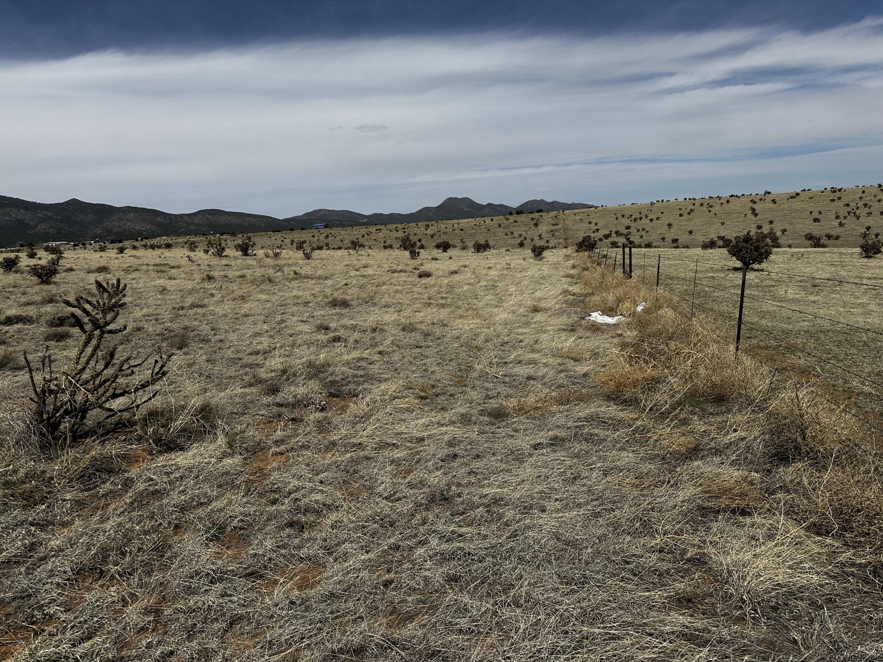 Photo 18 — A-3 Camino Sol Y Paz