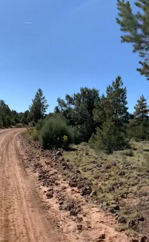 Photo 6 — 0 Cerro Leonides Road