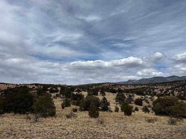 Photo 19 — Lot 5 Magdalena Mountain Ranch