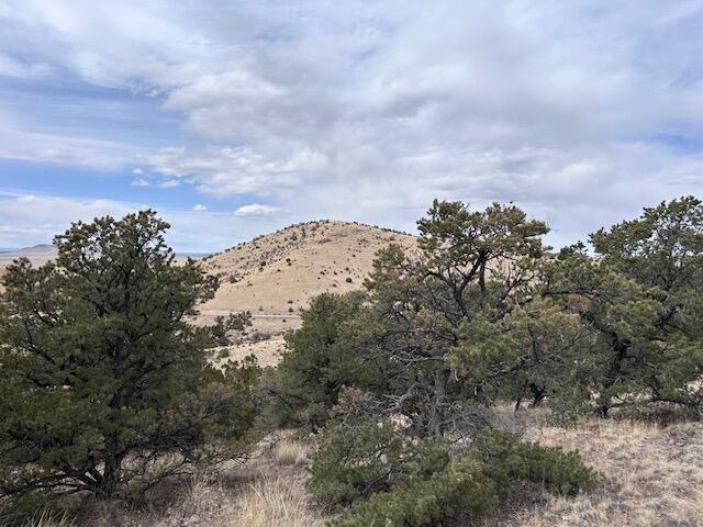 Photo 2 — Lot 5 Magdalena Mountain Ranch