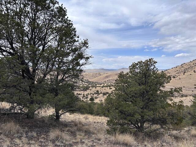 Photo 3 — Lot 5 Magdalena Mountain Ranch