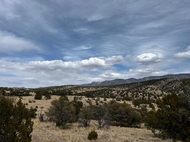 Photo 5 — Lot 5 Magdalena Mountain Ranch