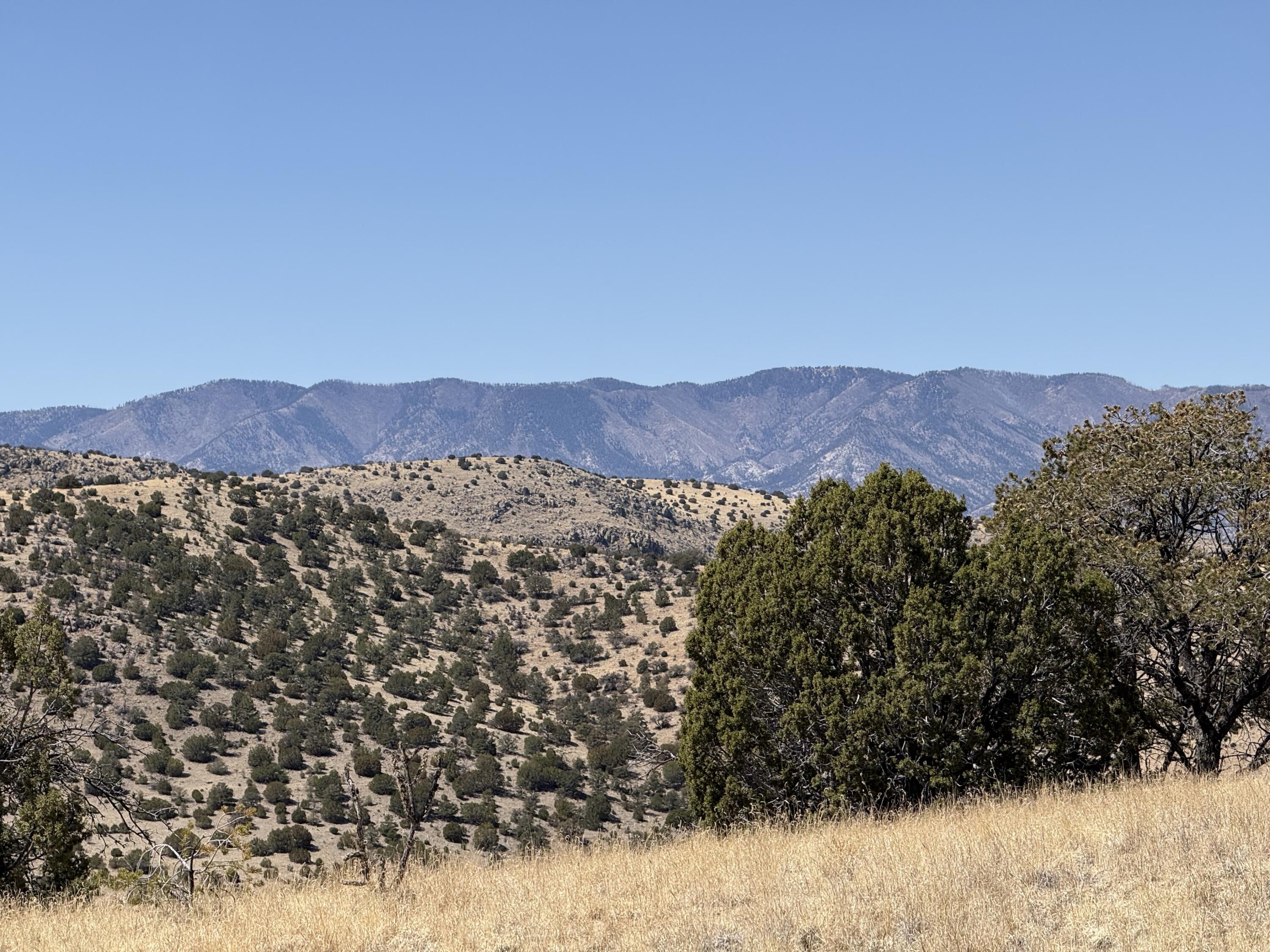 Photo 7 — Lot 5 Magdalena Mountain Ranch