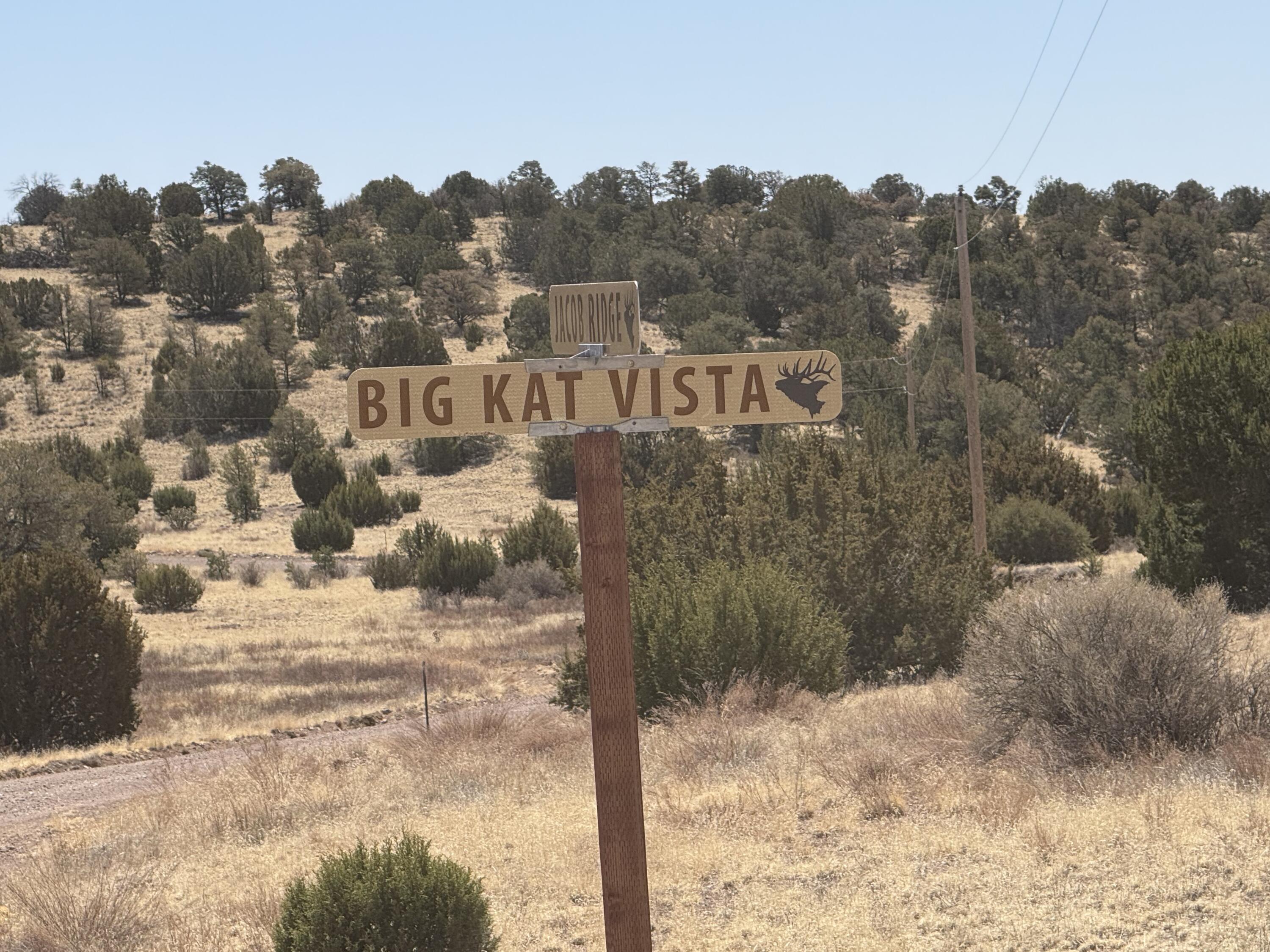 Photo 9 — Lot 5 Magdalena Mountain Ranch