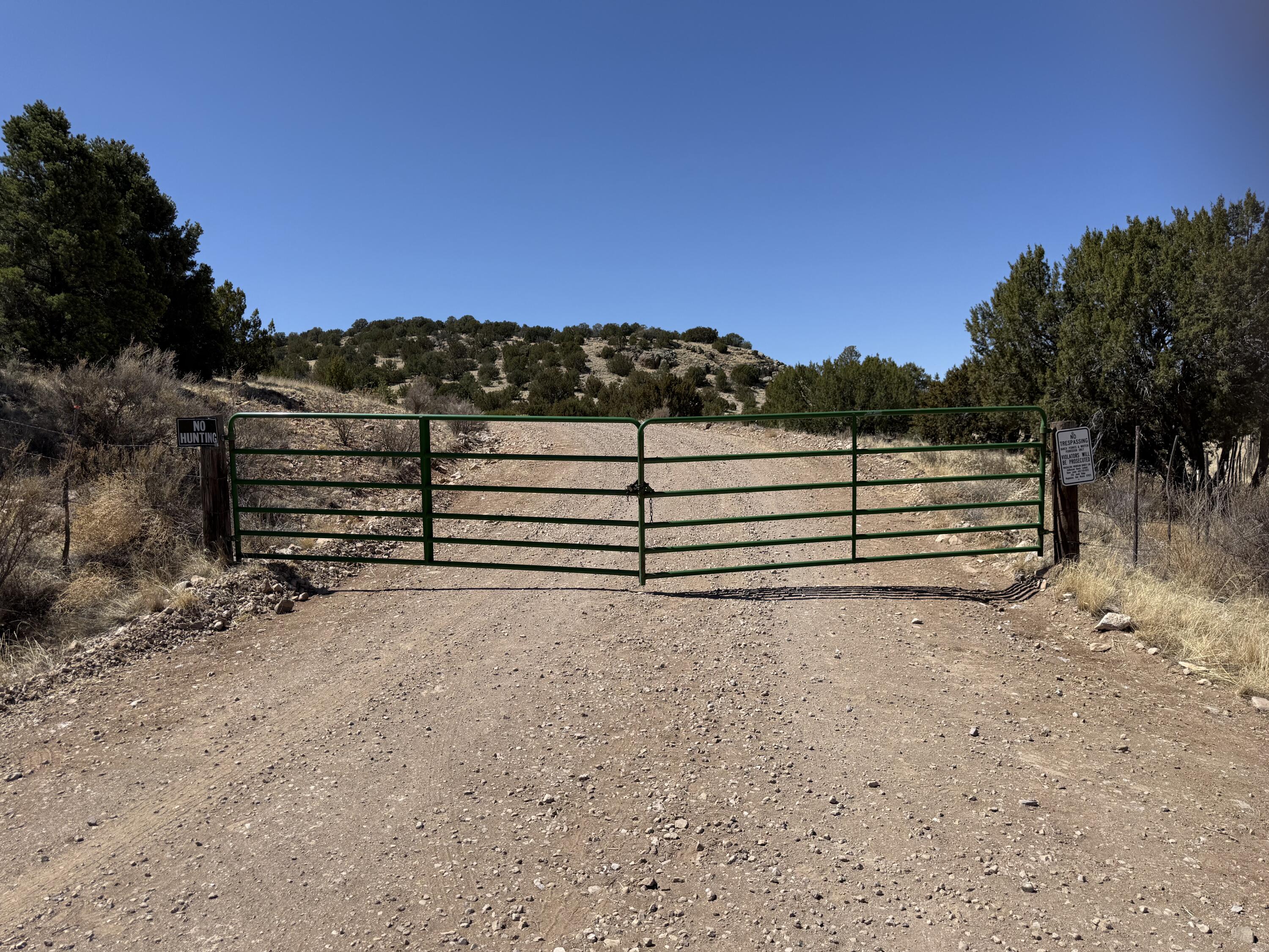 Photo 10 — Lot 5 Magdalena Mountain Ranch