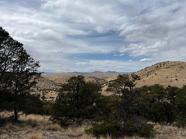 Photo 13 — Lot 5 Magdalena Mountain Ranch