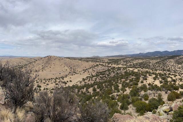 Photo 14 — Lot 5 Magdalena Mountain Ranch