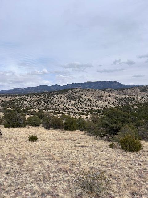 Photo 15 — Lot 5 Magdalena Mountain Ranch