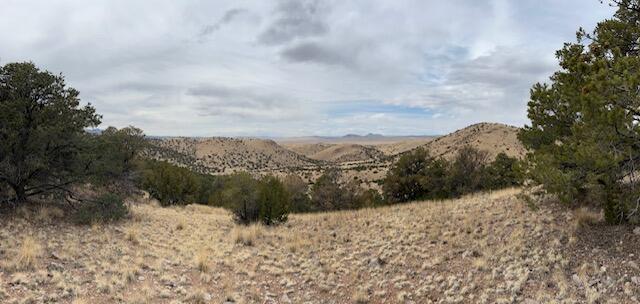 Photo 16 — Lot 5 Magdalena Mountain Ranch