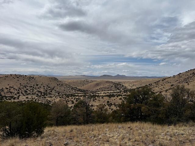 Photo 17 — Lot 5 Magdalena Mountain Ranch