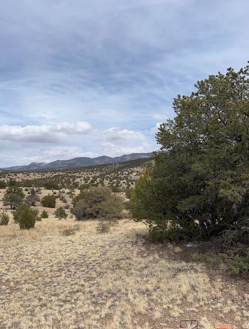 Photo 18 — Lot 5 Magdalena Mountain Ranch