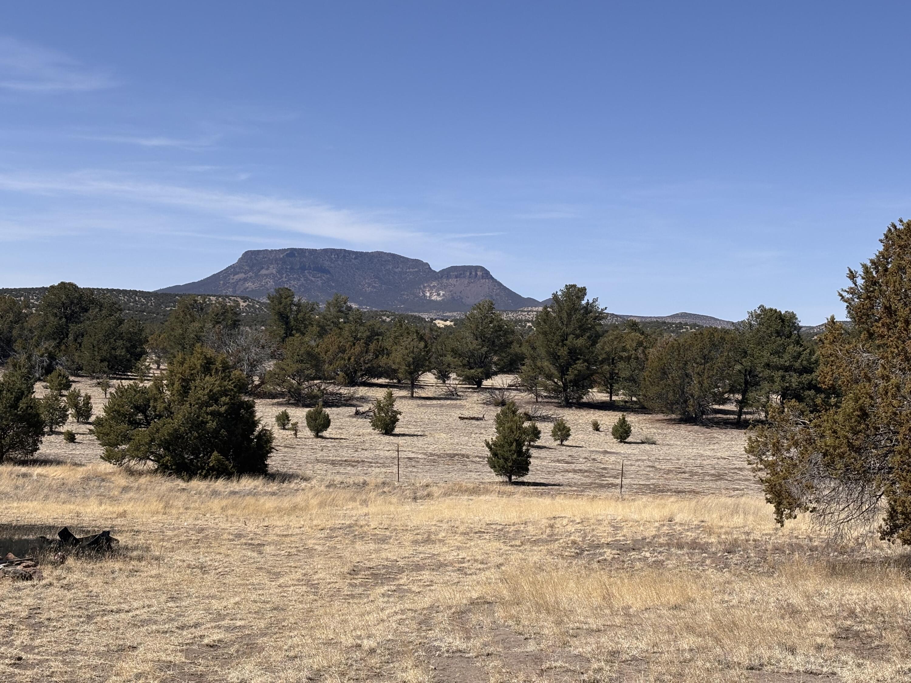 Photo 14 — 233 Turquoise Trail