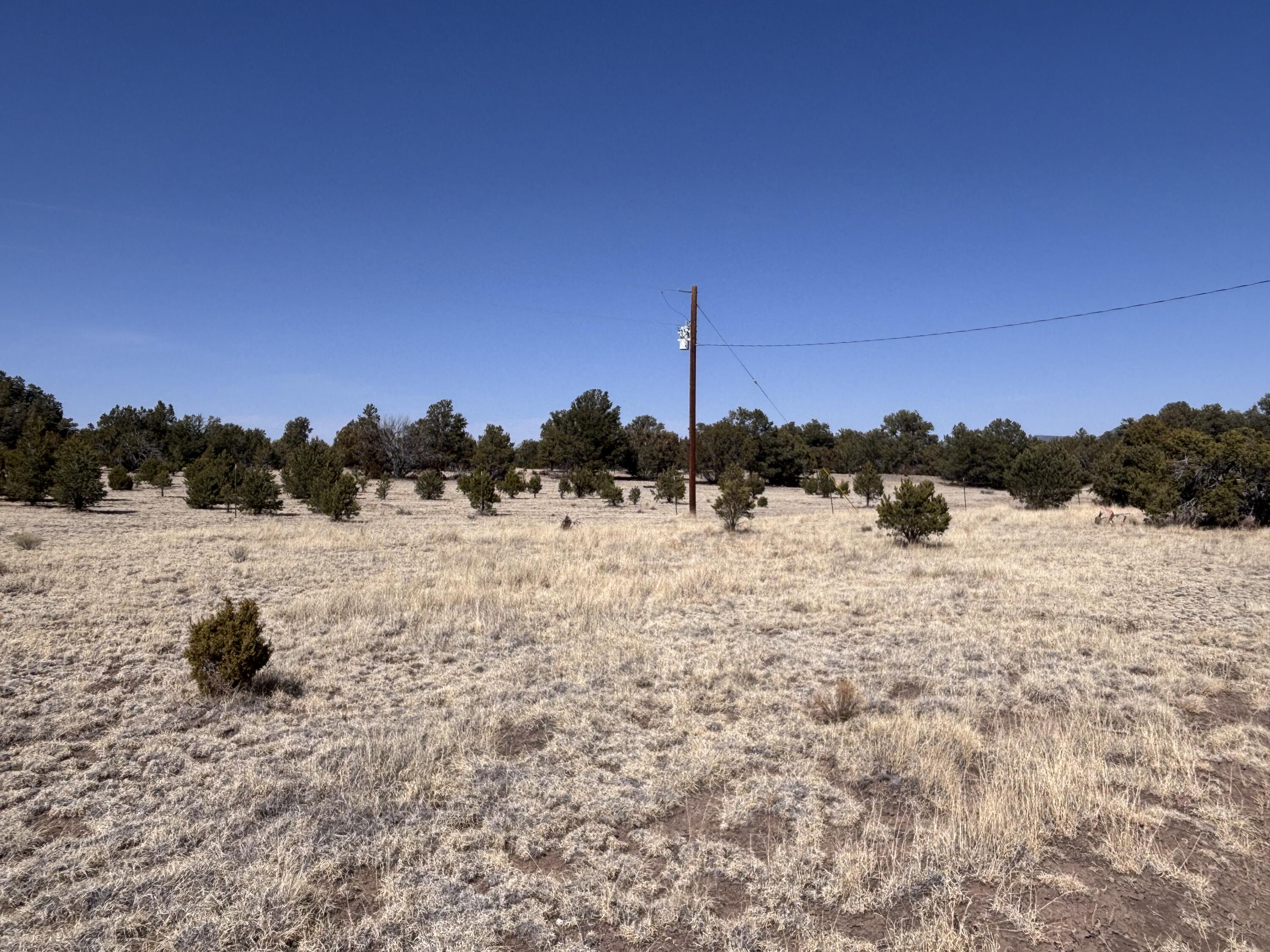 Photo 15 — 233 Turquoise Trail