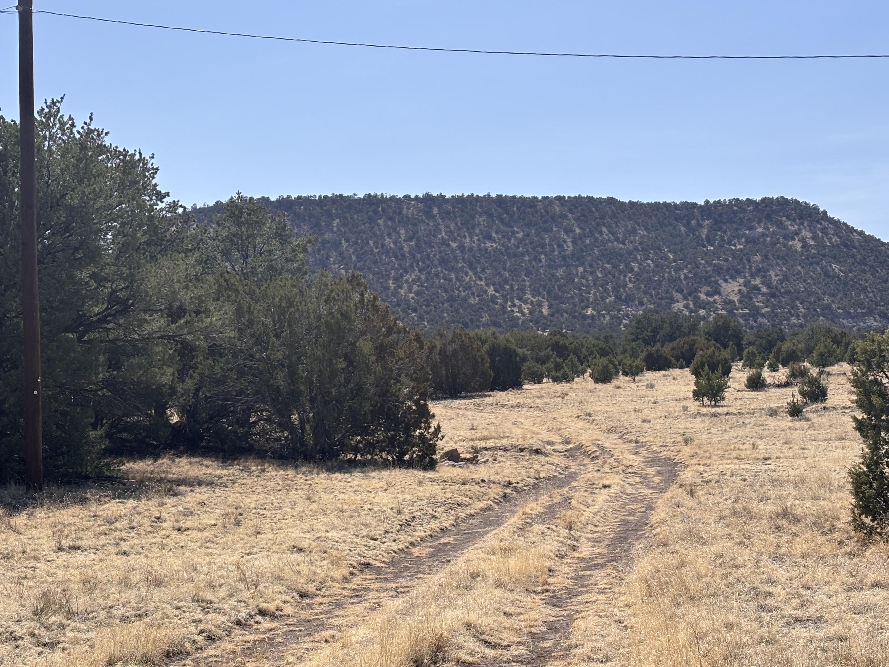 Photo 16 — 233 Turquoise Trail