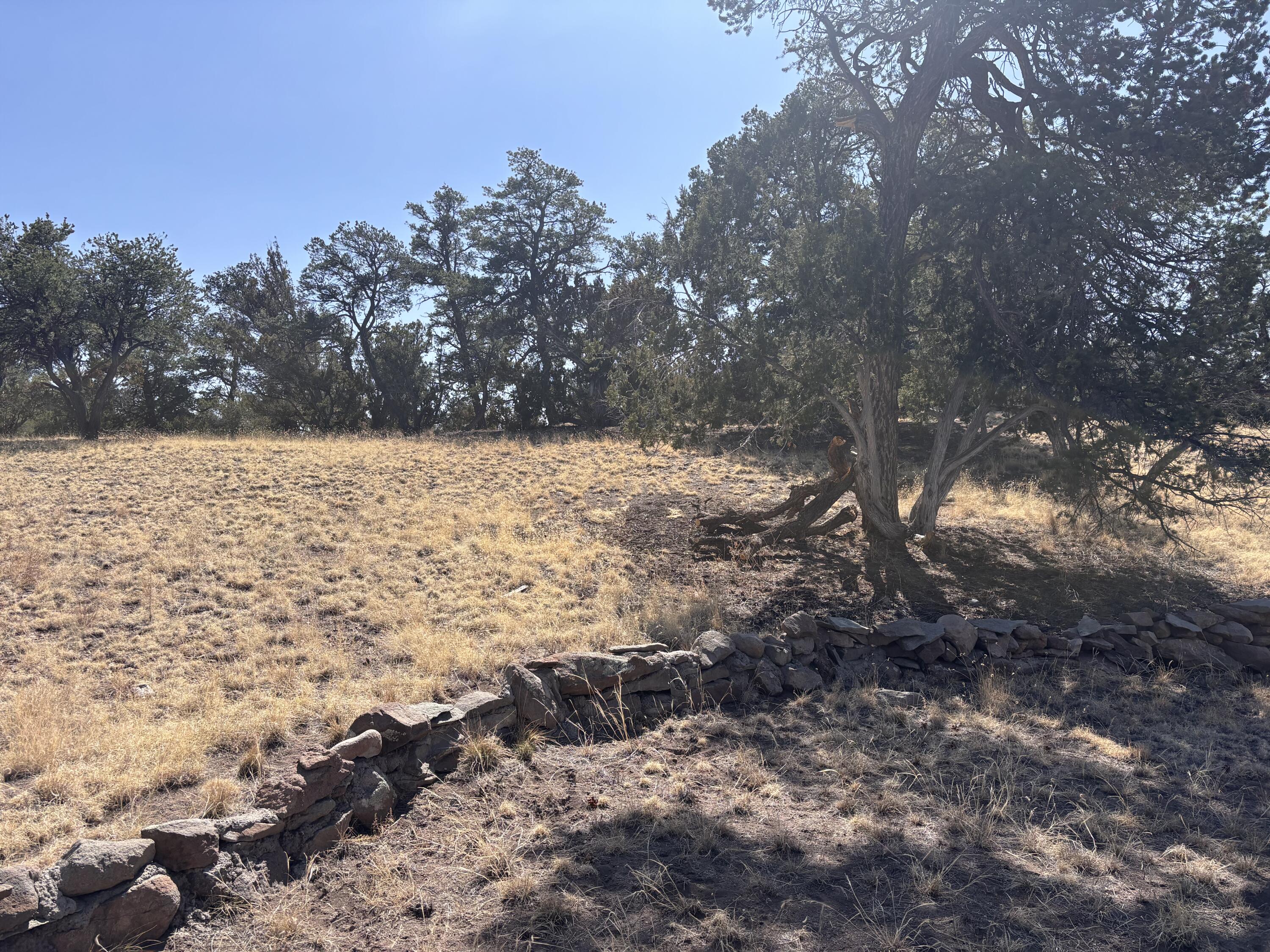 Photo 2 — 233 Turquoise Trail