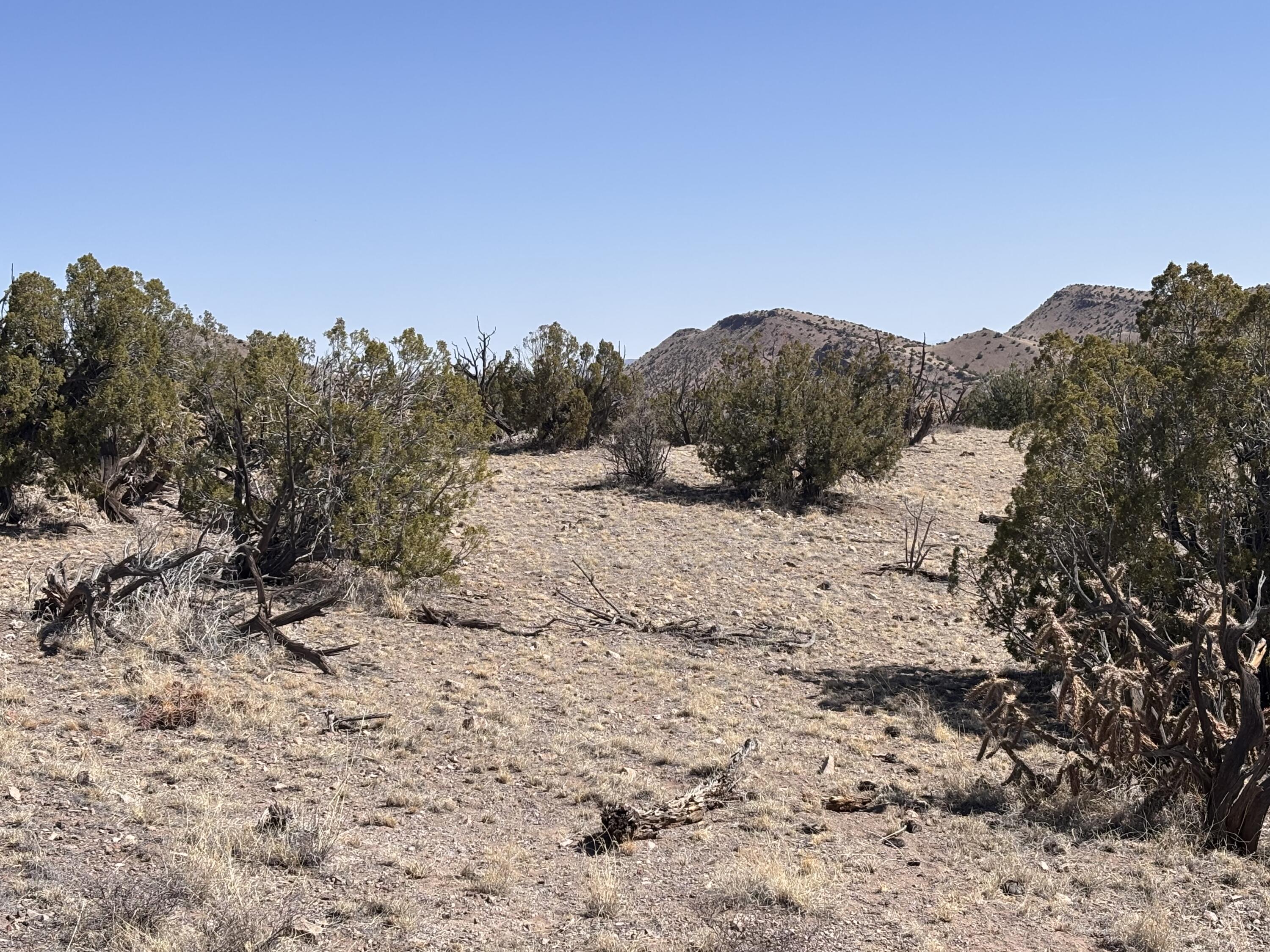 Photo 3 — 233 Turquoise Trail