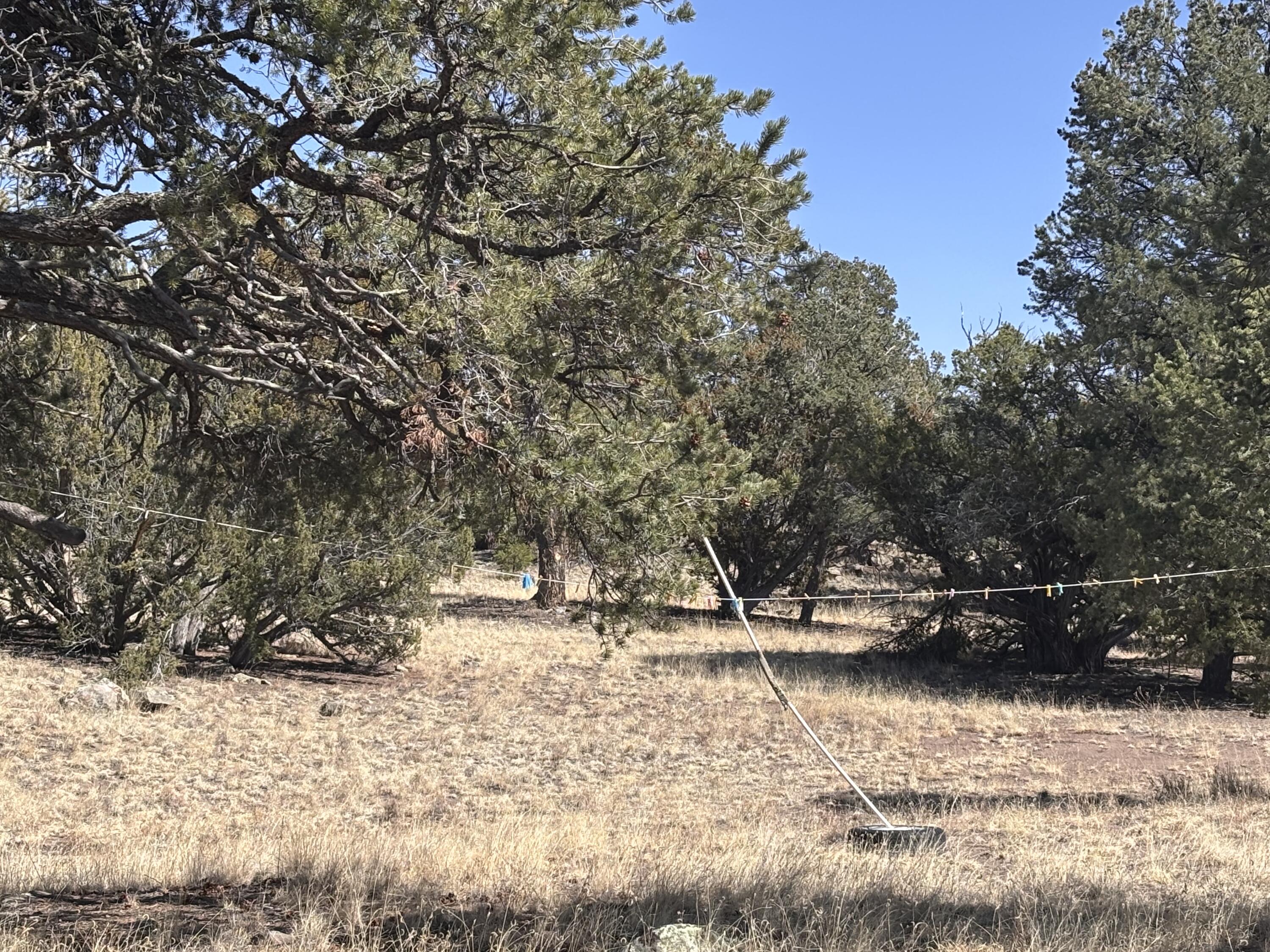 Photo 4 — 233 Turquoise Trail