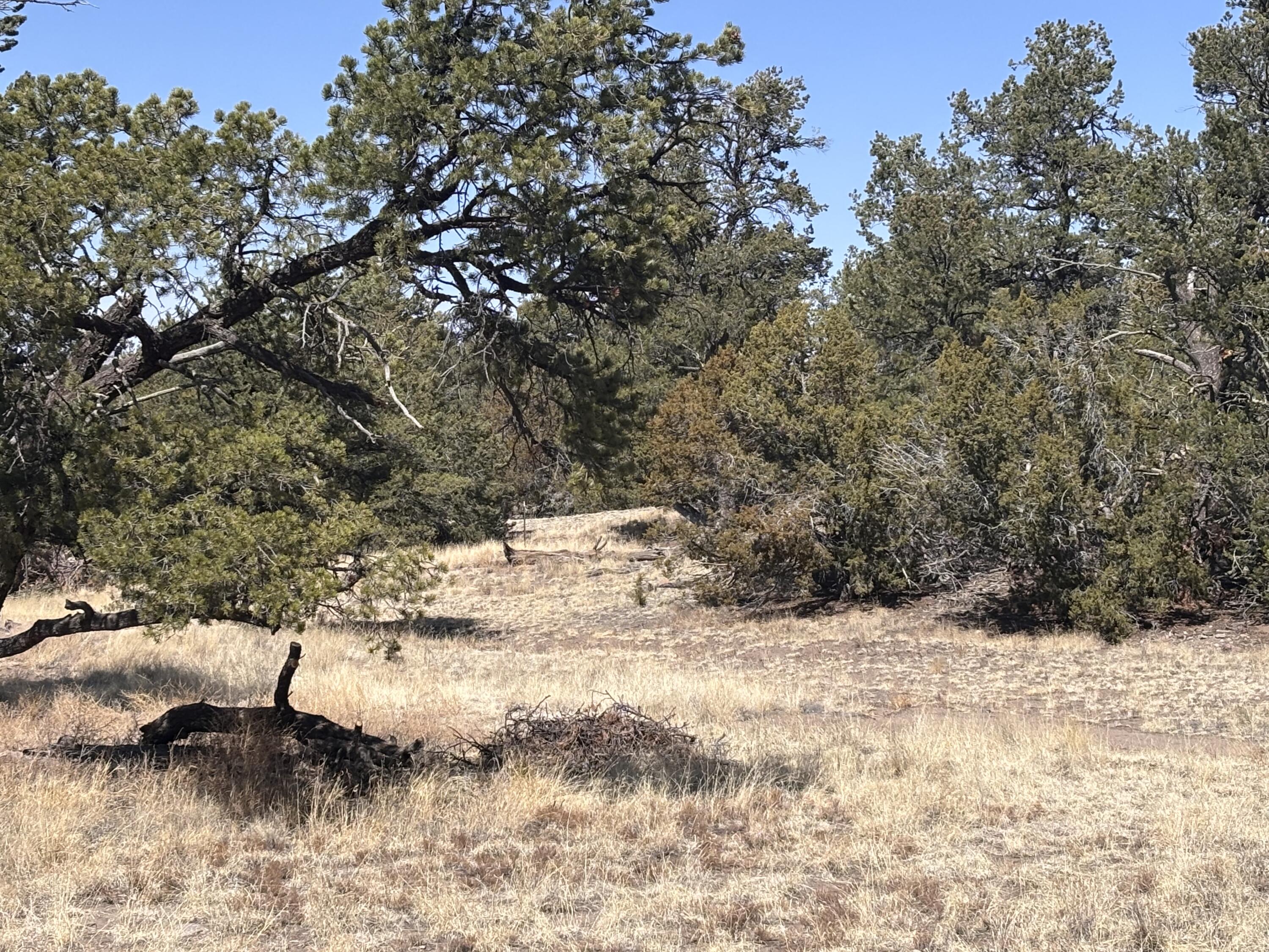 Photo 5 — 233 Turquoise Trail