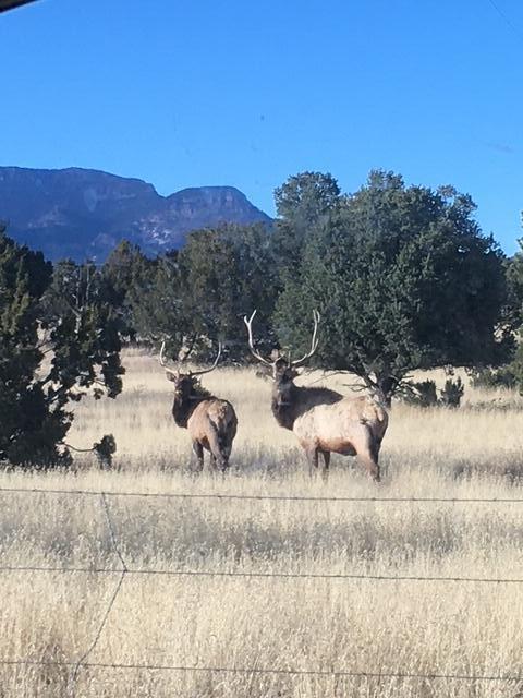 Photo 9 — 233 Turquoise Trail