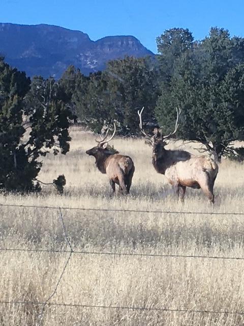 Photo 10 — 233 Turquoise Trail