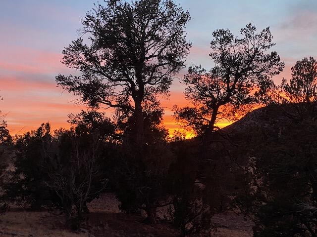 Photo 13 — 233 Turquoise Trail