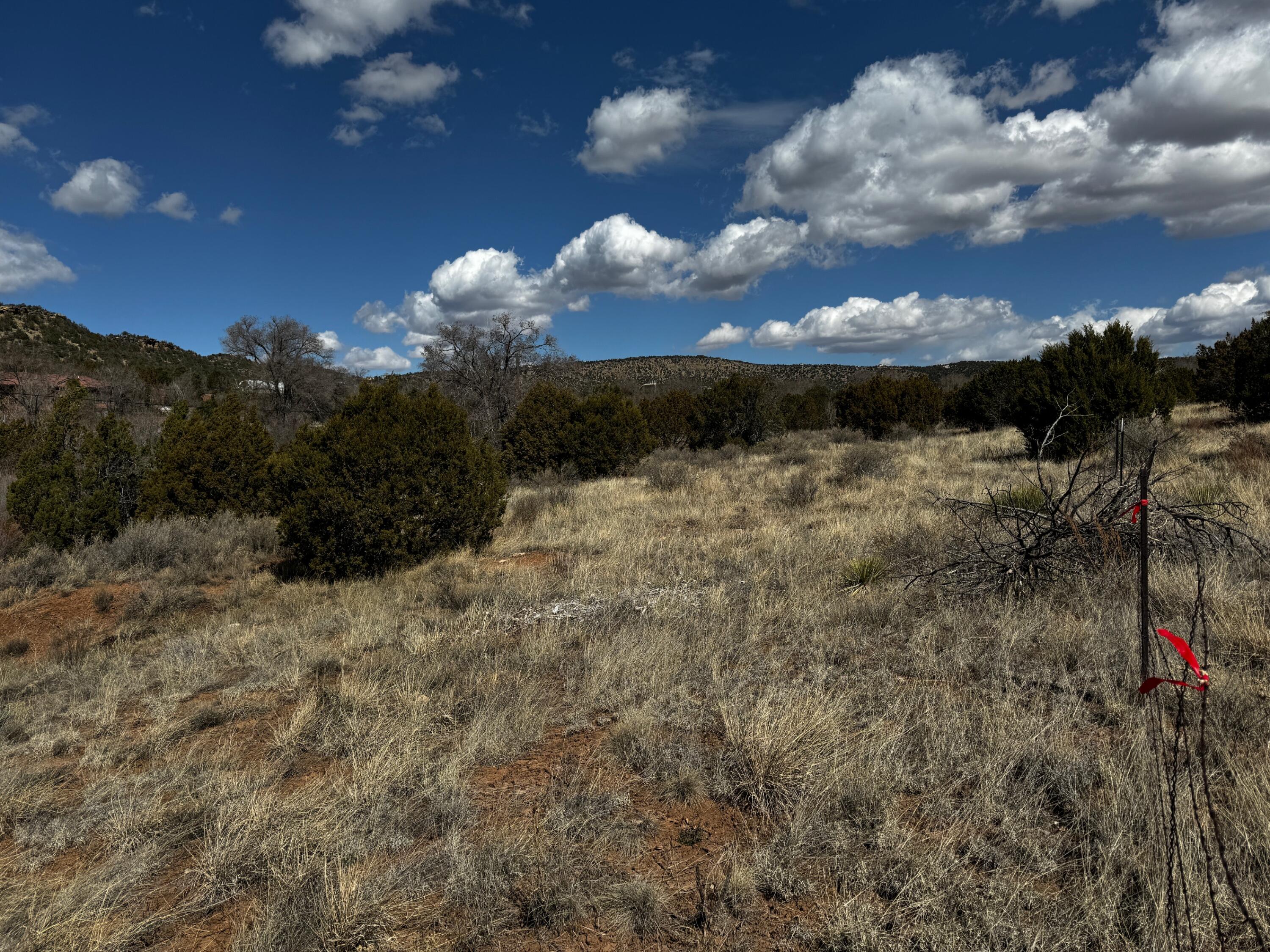 Photo 3 —  NM-333