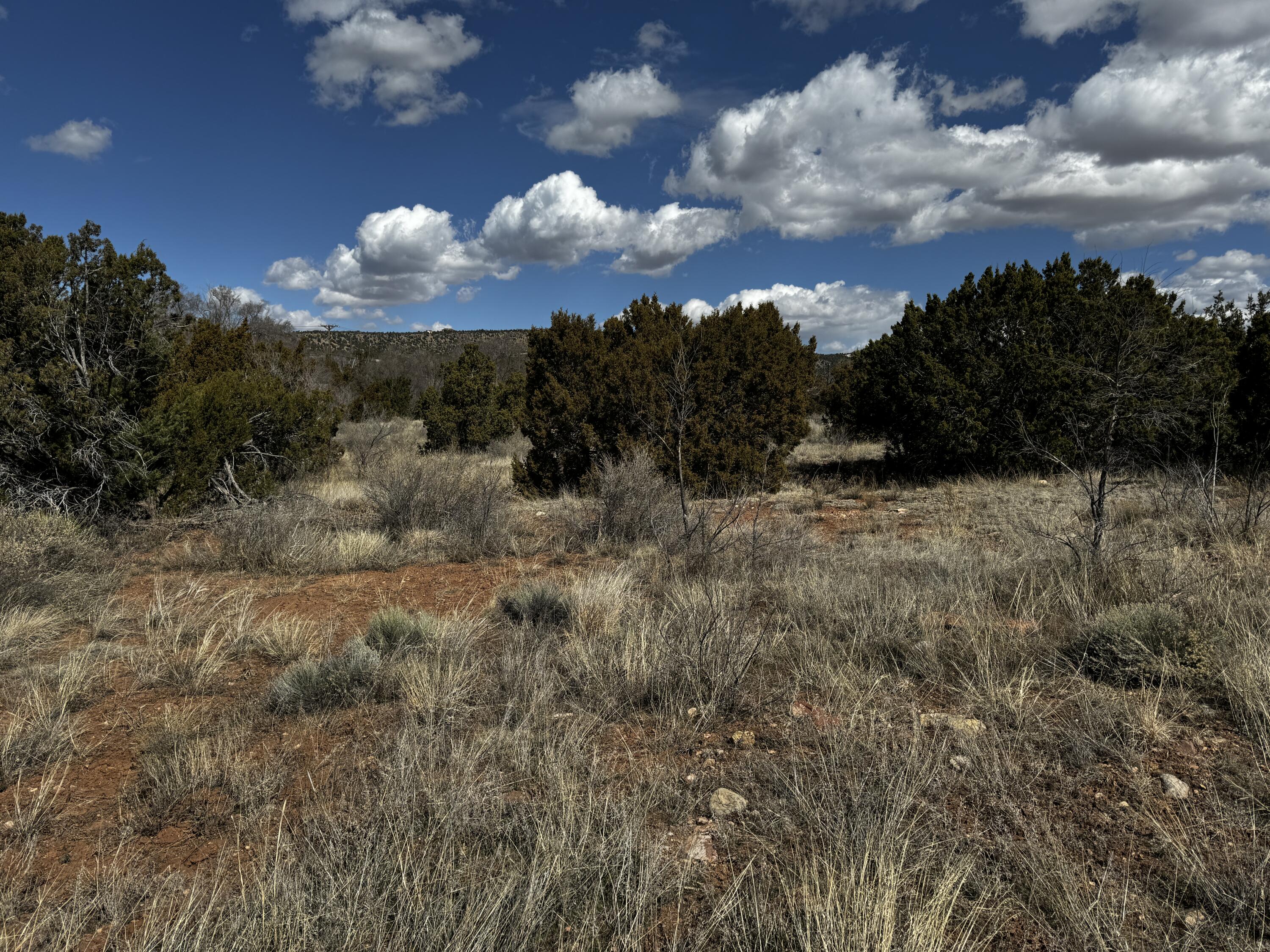 Photo 4 —  NM-333