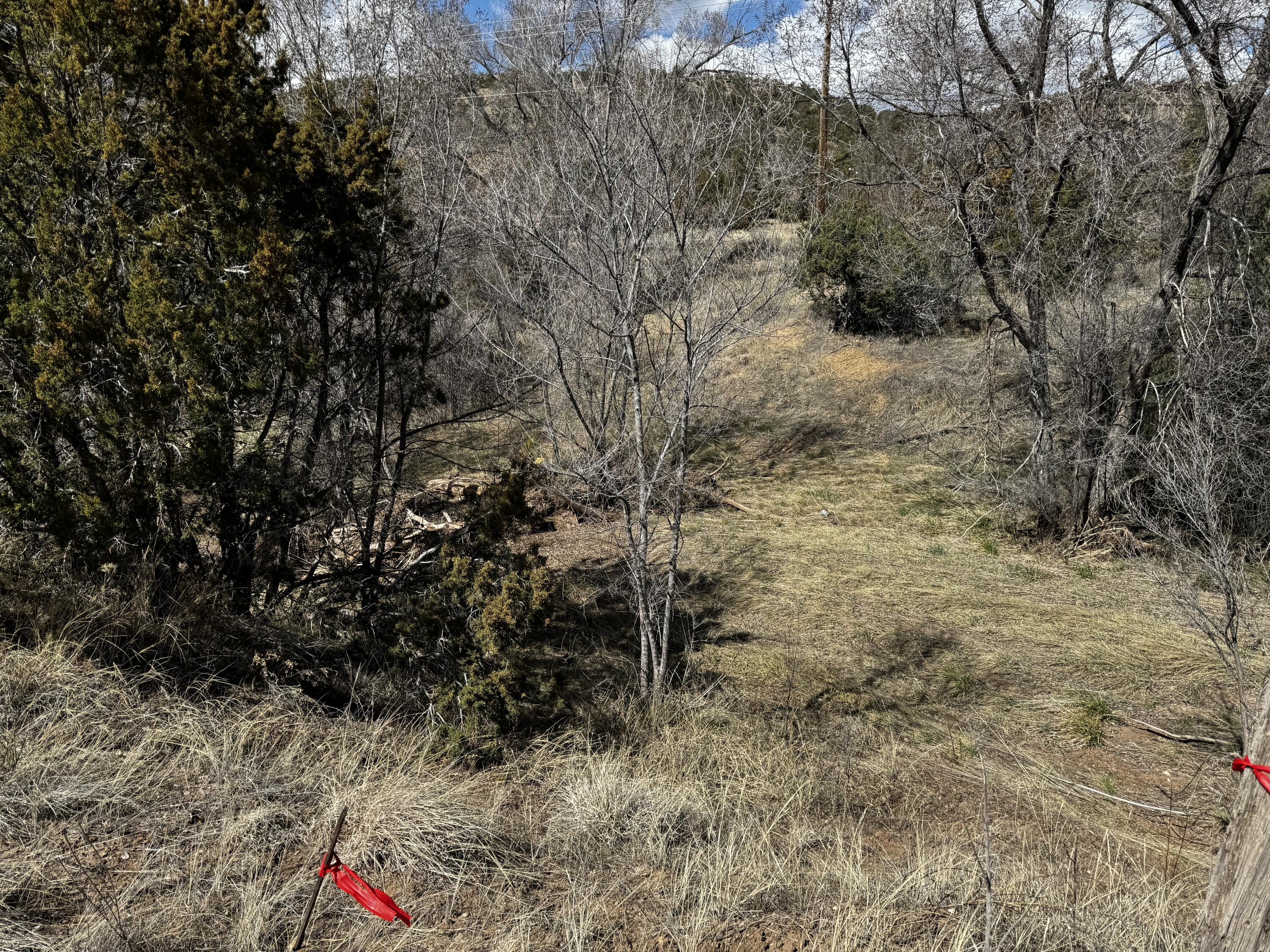 Photo 5 —  NM-333