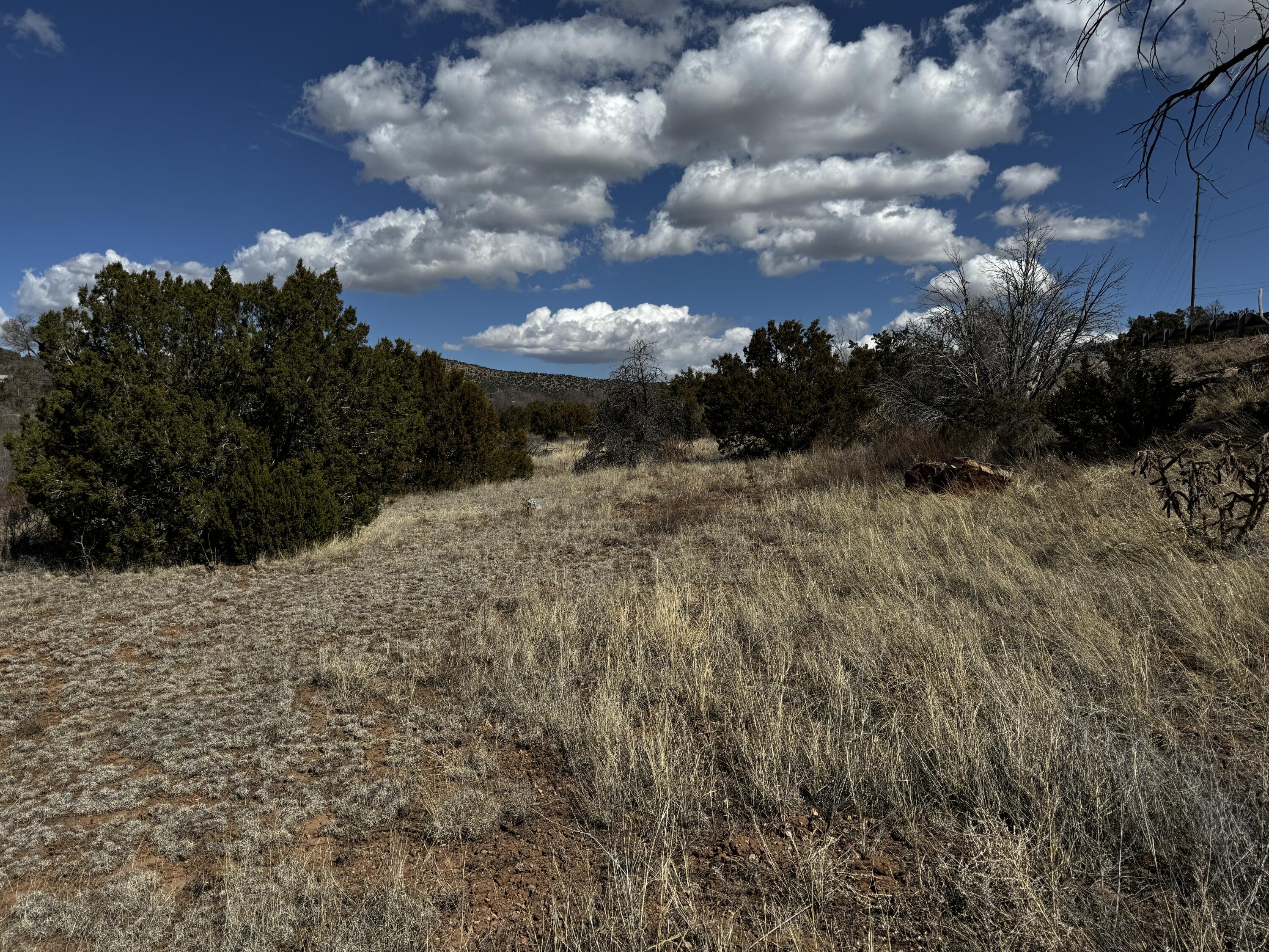 Photo 9 —  NM-333