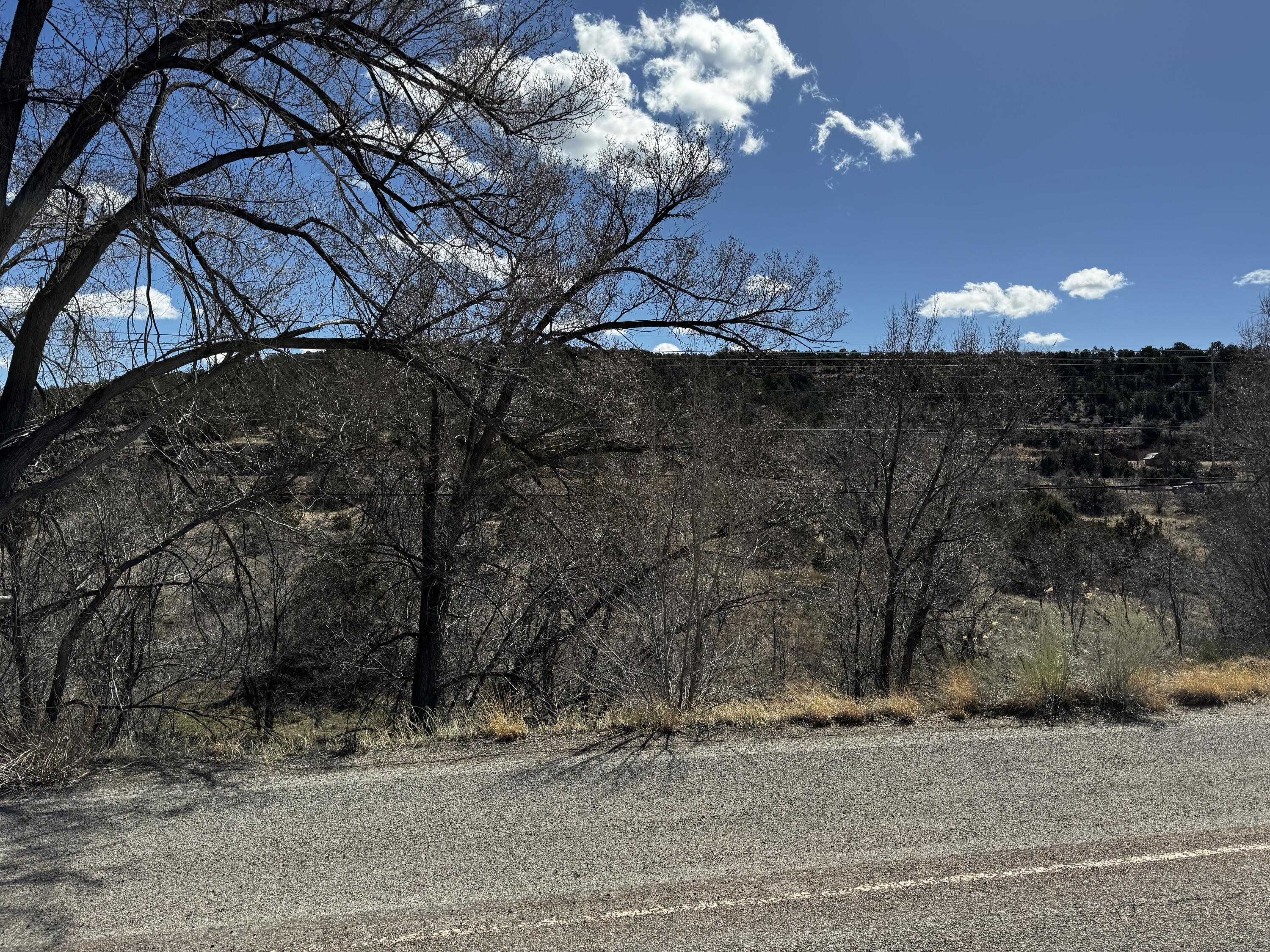 Photo 11 —  NM-333