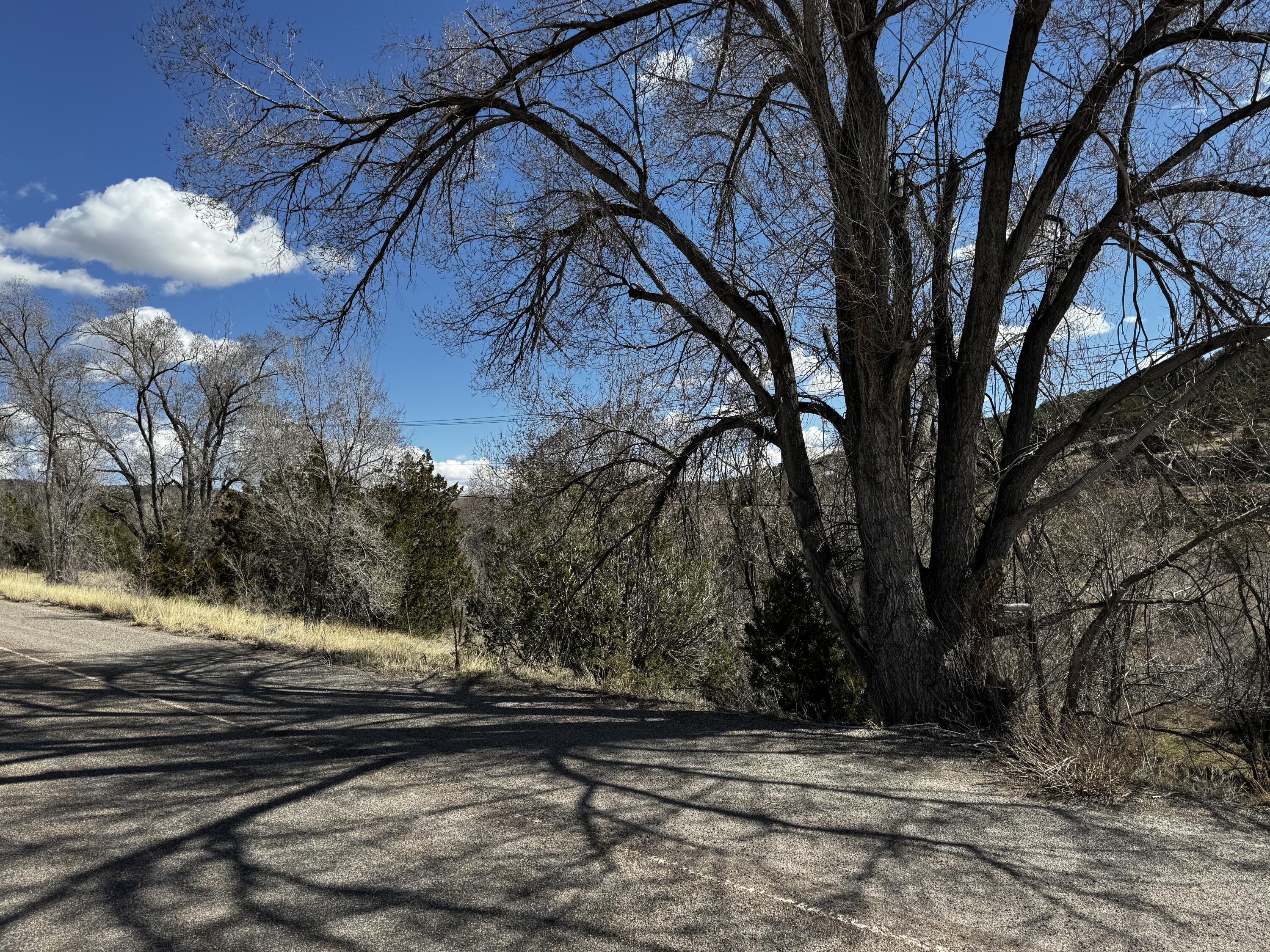 Photo 12 —  NM-333