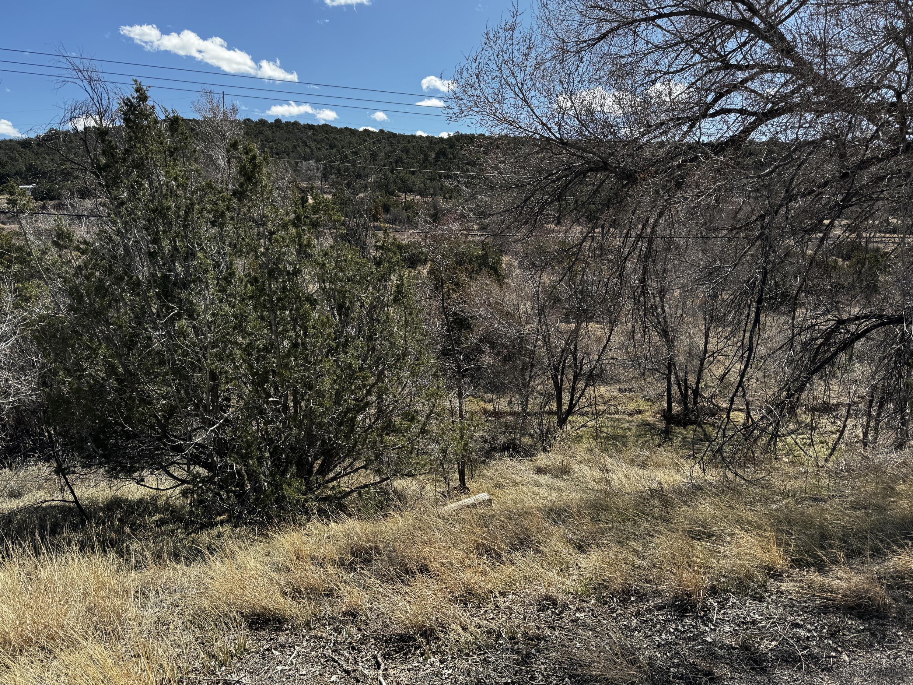 Photo 13 —  NM-333