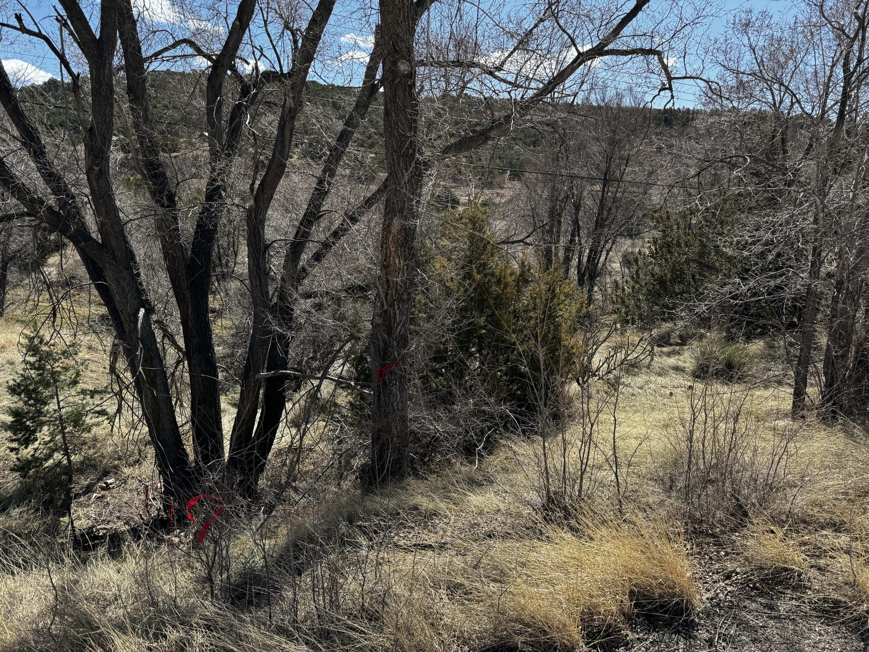 Photo 14 —  NM-333