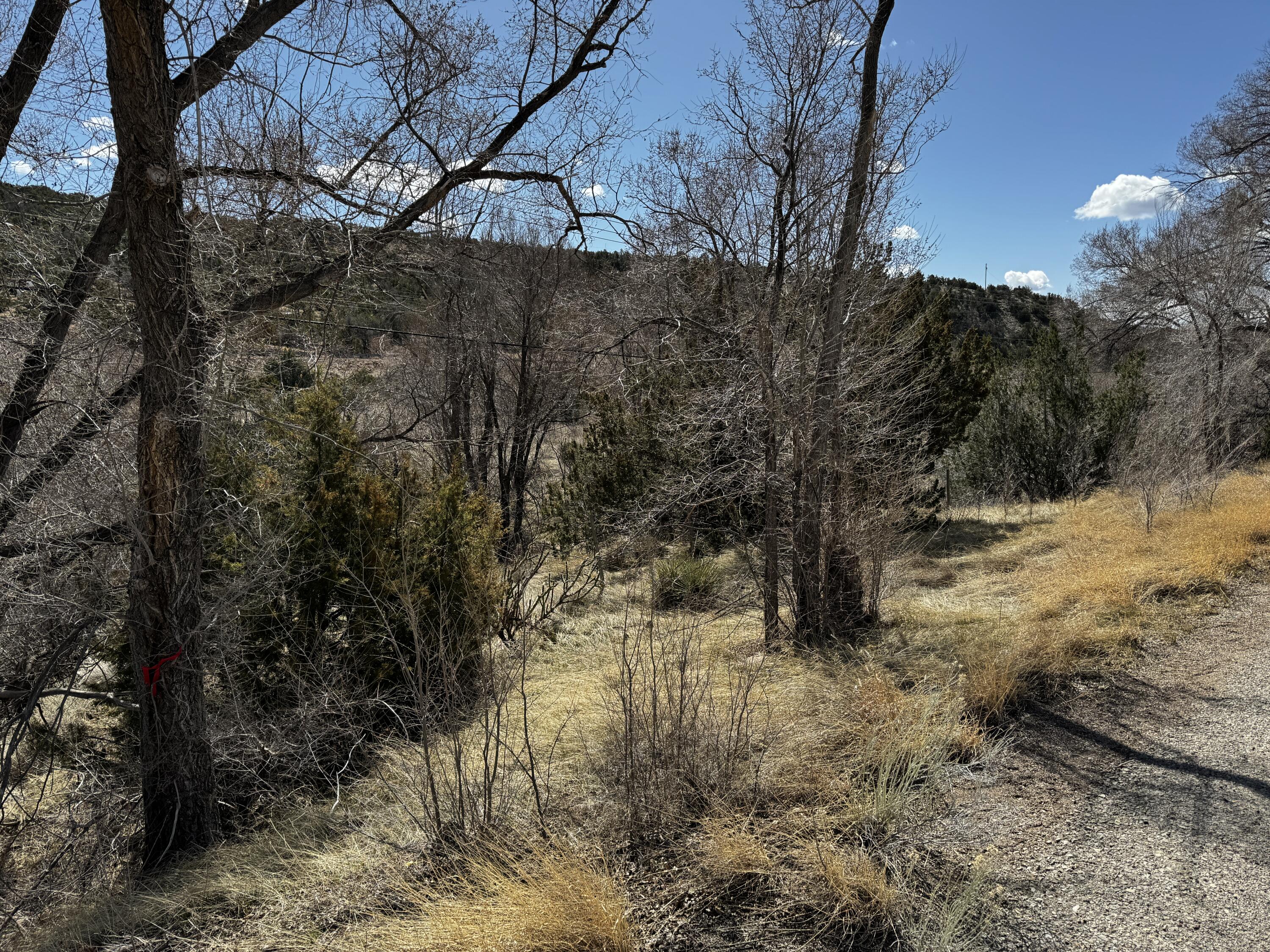 Photo 2 —  NM-333