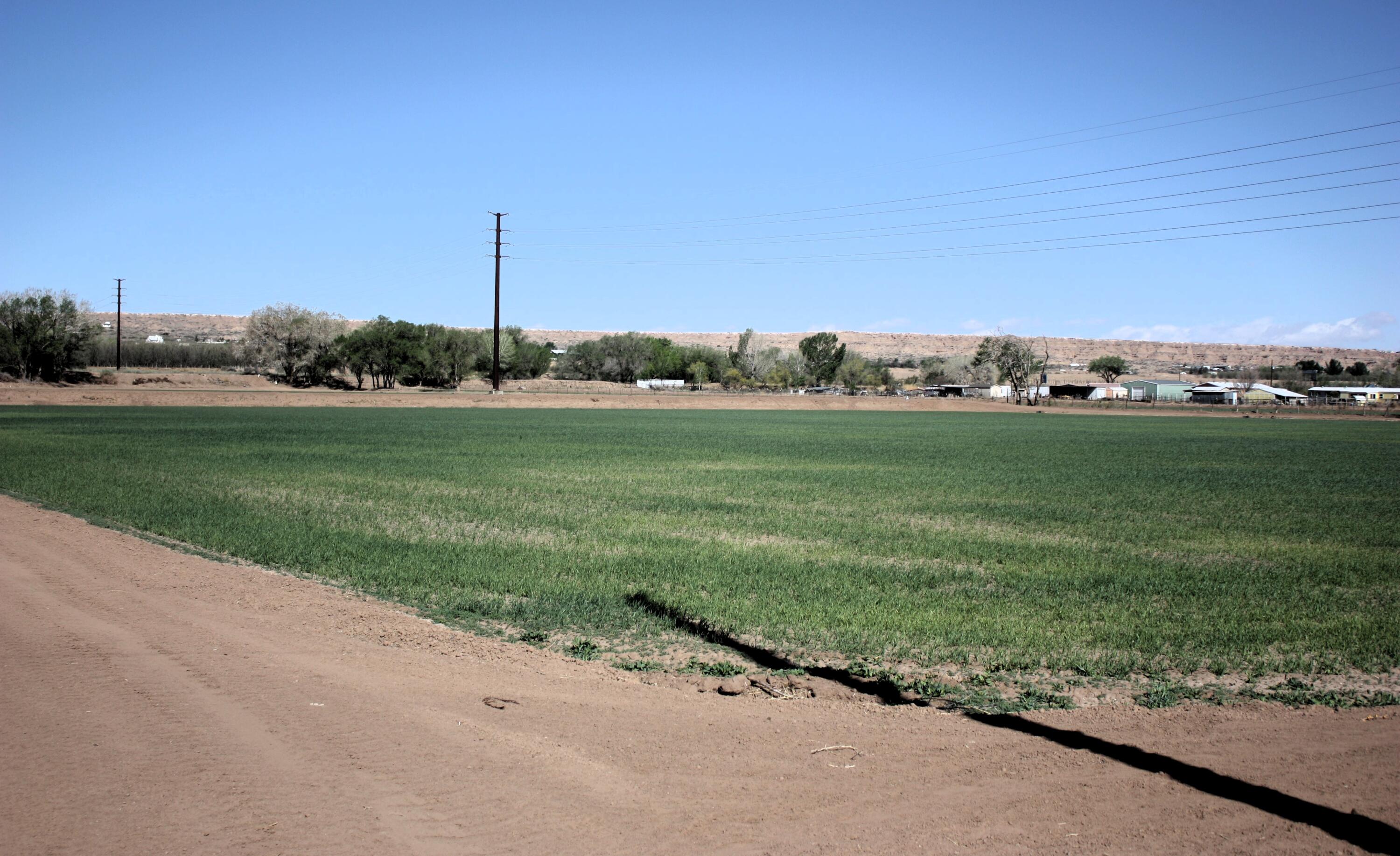 Photo 6 — 33 Pueblitos Road