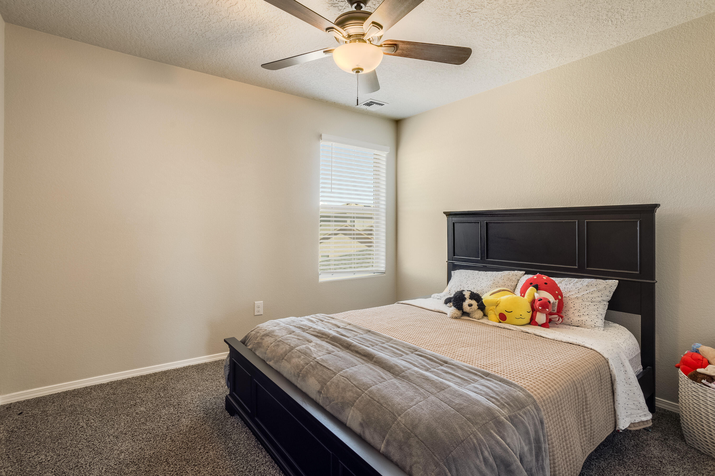 Photo 12 — 4847 MOUNT SALAS Street NE