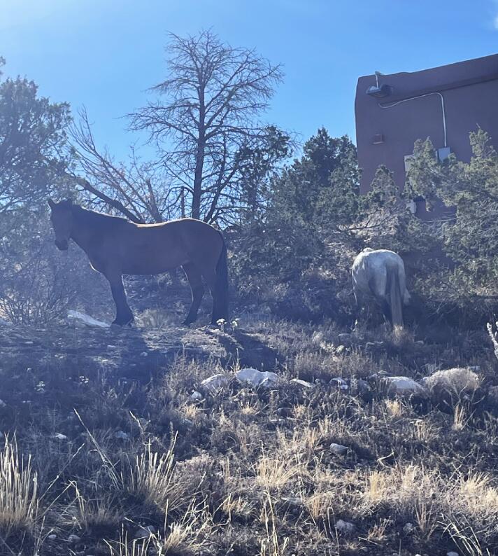 Photo 6 —  Overlook Lot 5a