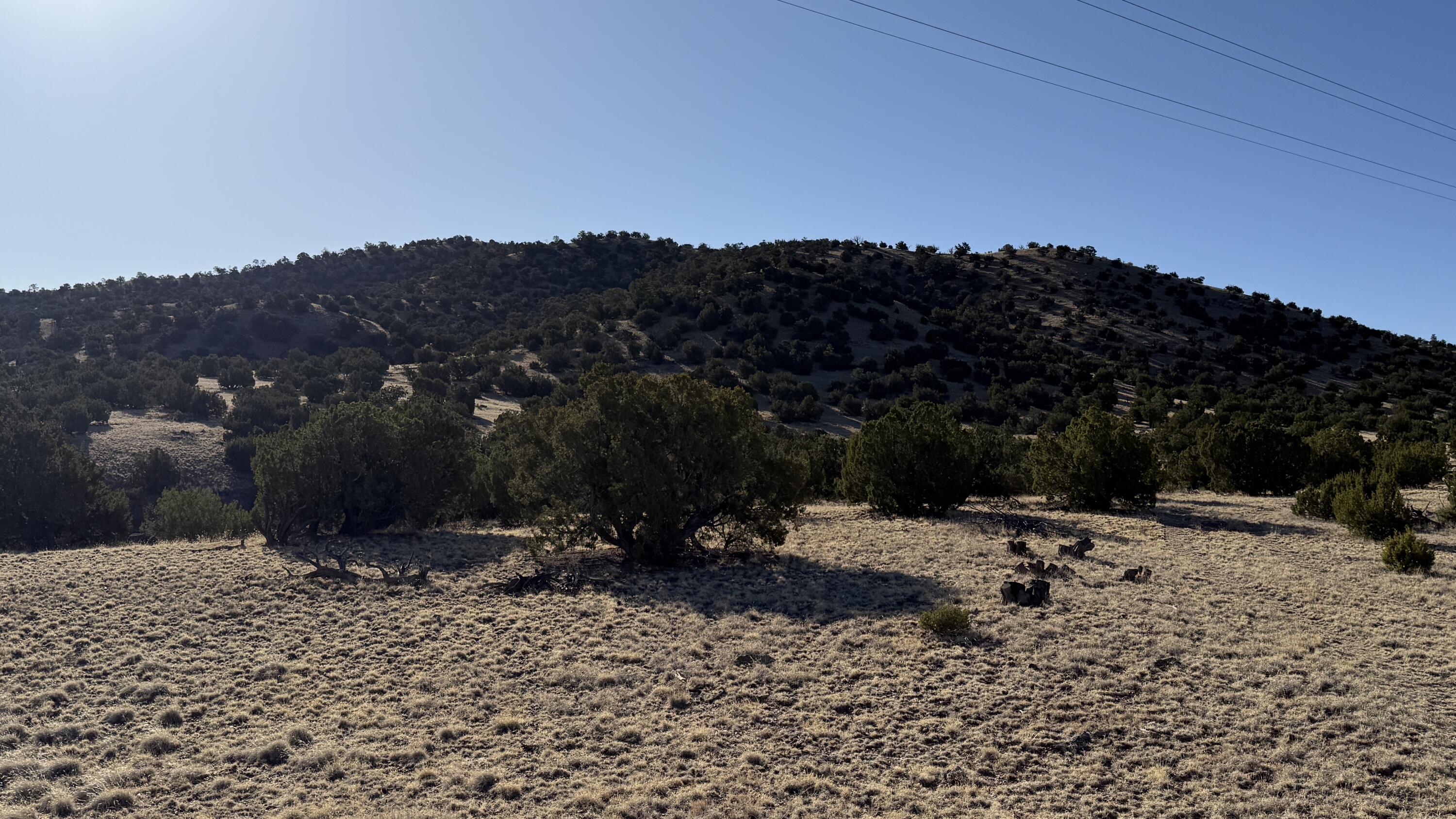  Lot 21 Pinon Springs Ranch, Magdalena, NM 87825