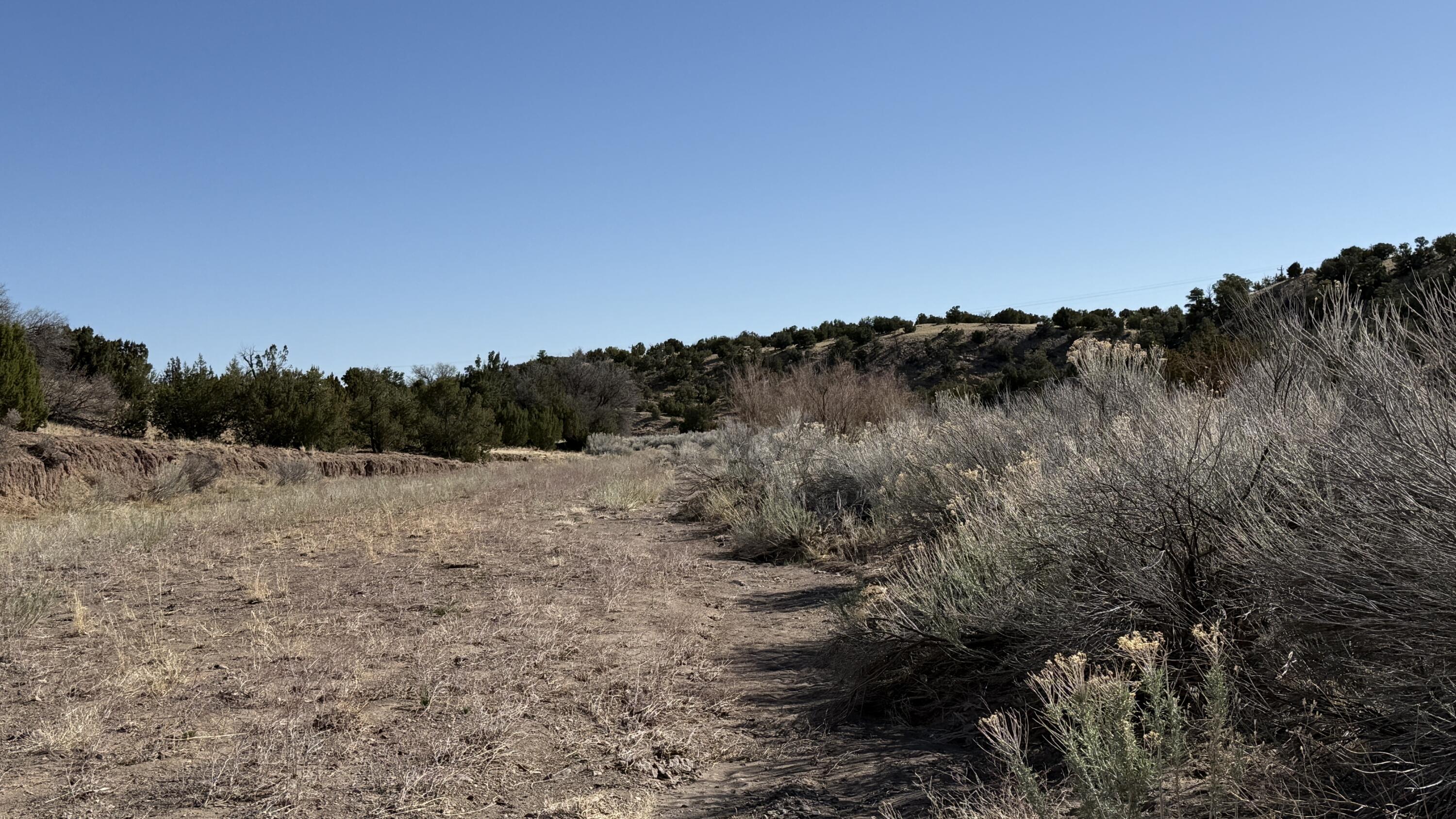 Photo 17 —  Lot 21 Pinon Springs Ranch
