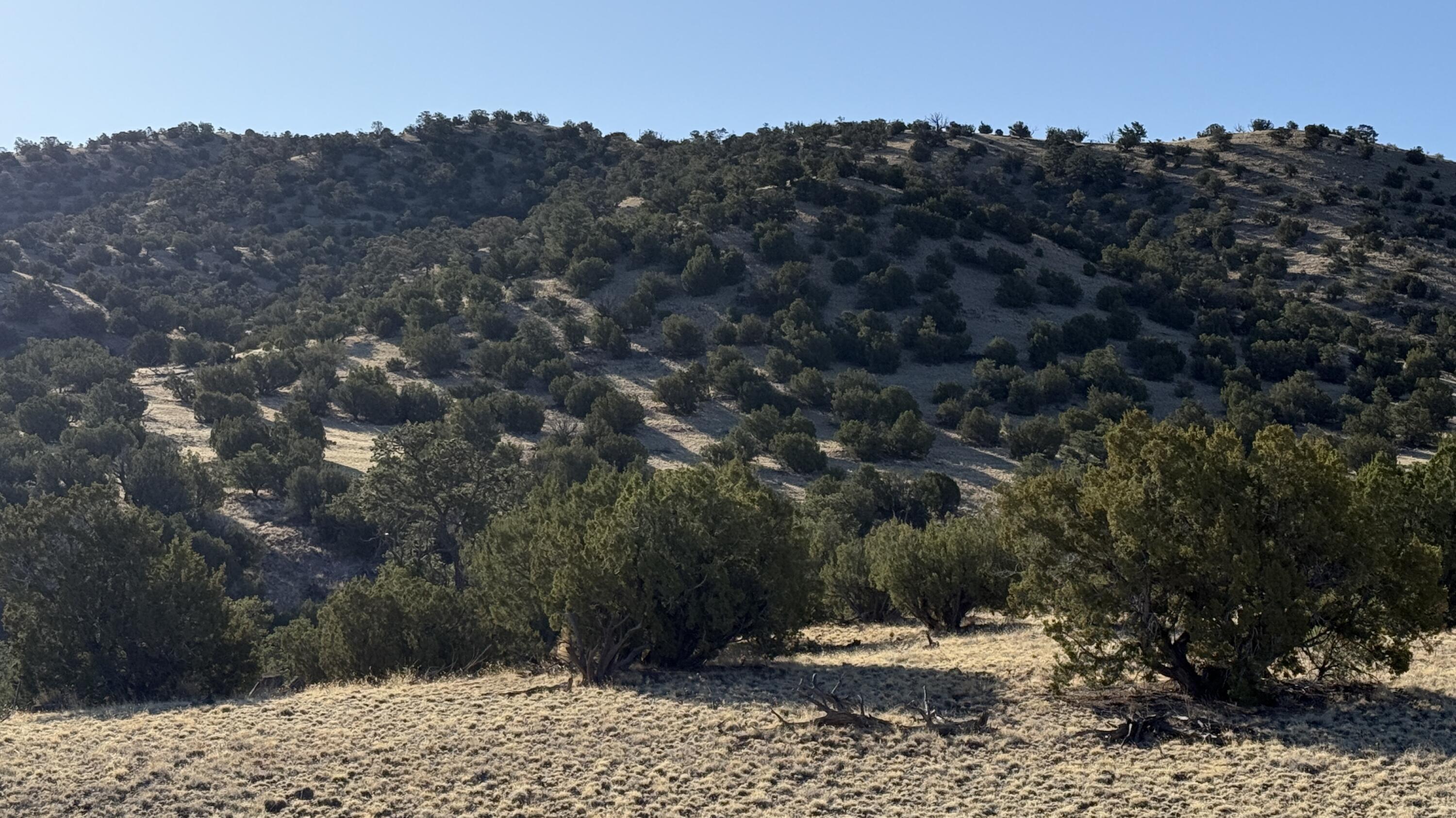 Photo 2 —  Lot 21 Pinon Springs Ranch