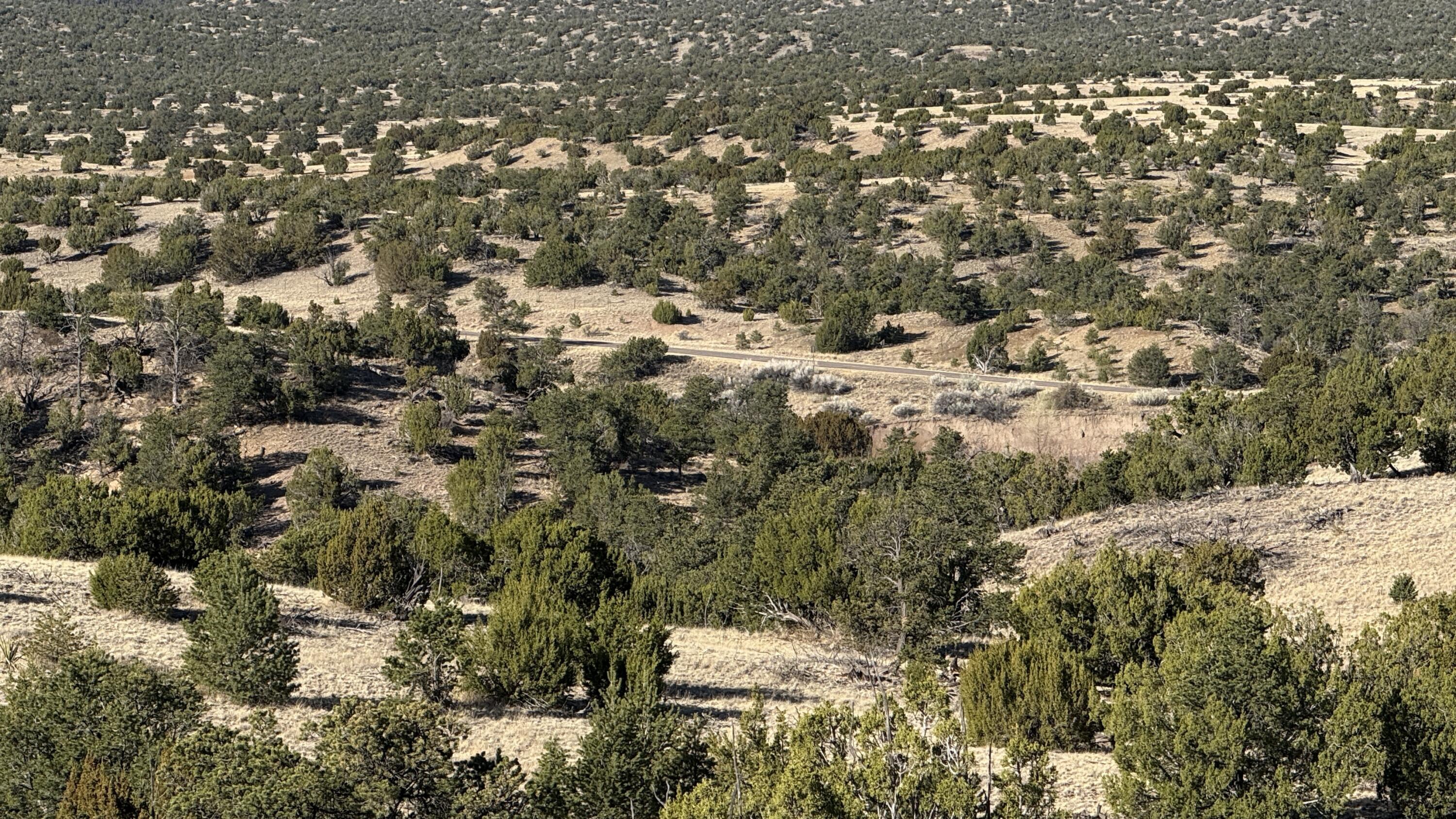 Photo 3 —  Lot 21 Pinon Springs Ranch