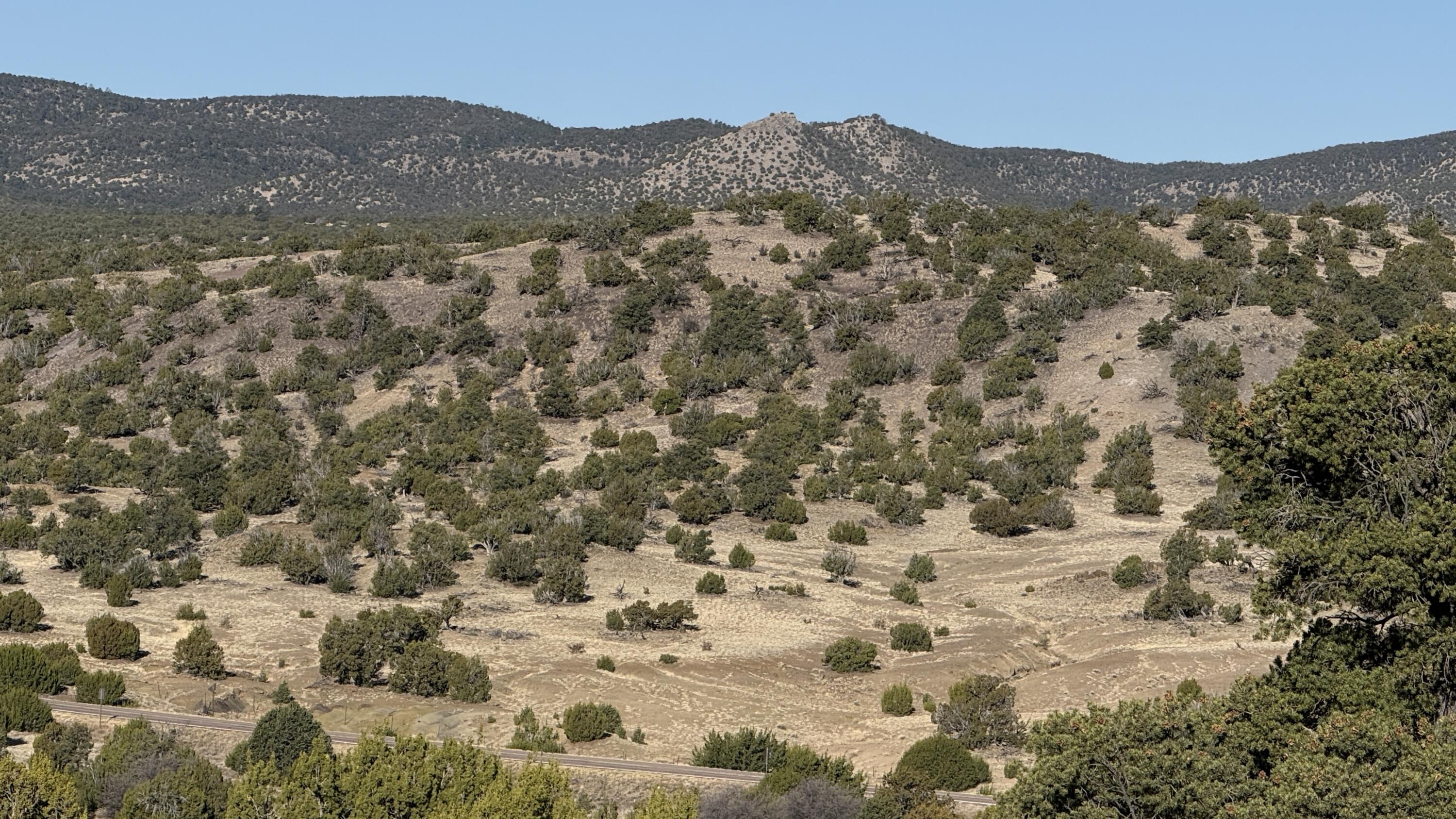 Photo 4 —  Lot 21 Pinon Springs Ranch