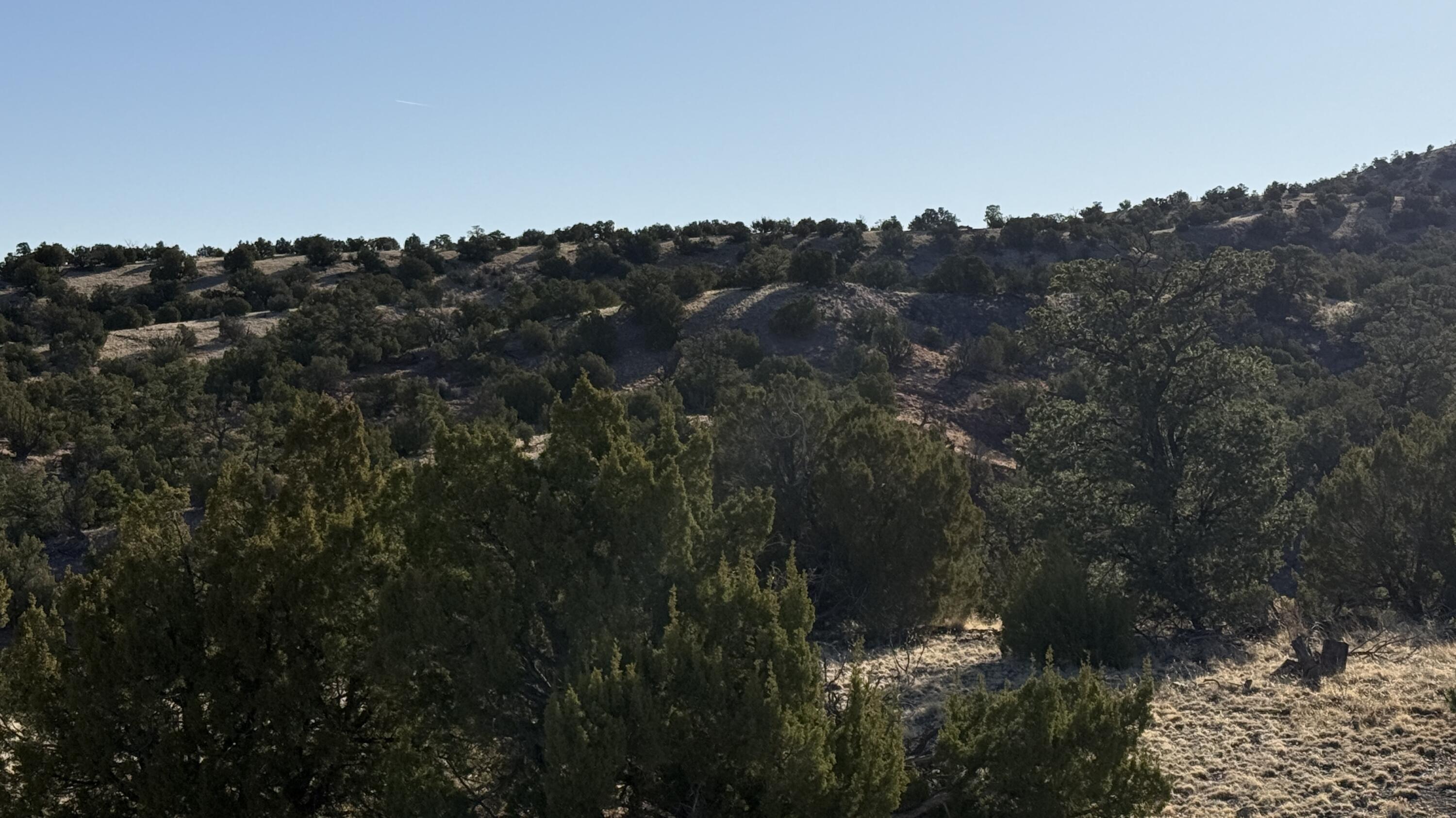Photo 5 —  Lot 21 Pinon Springs Ranch