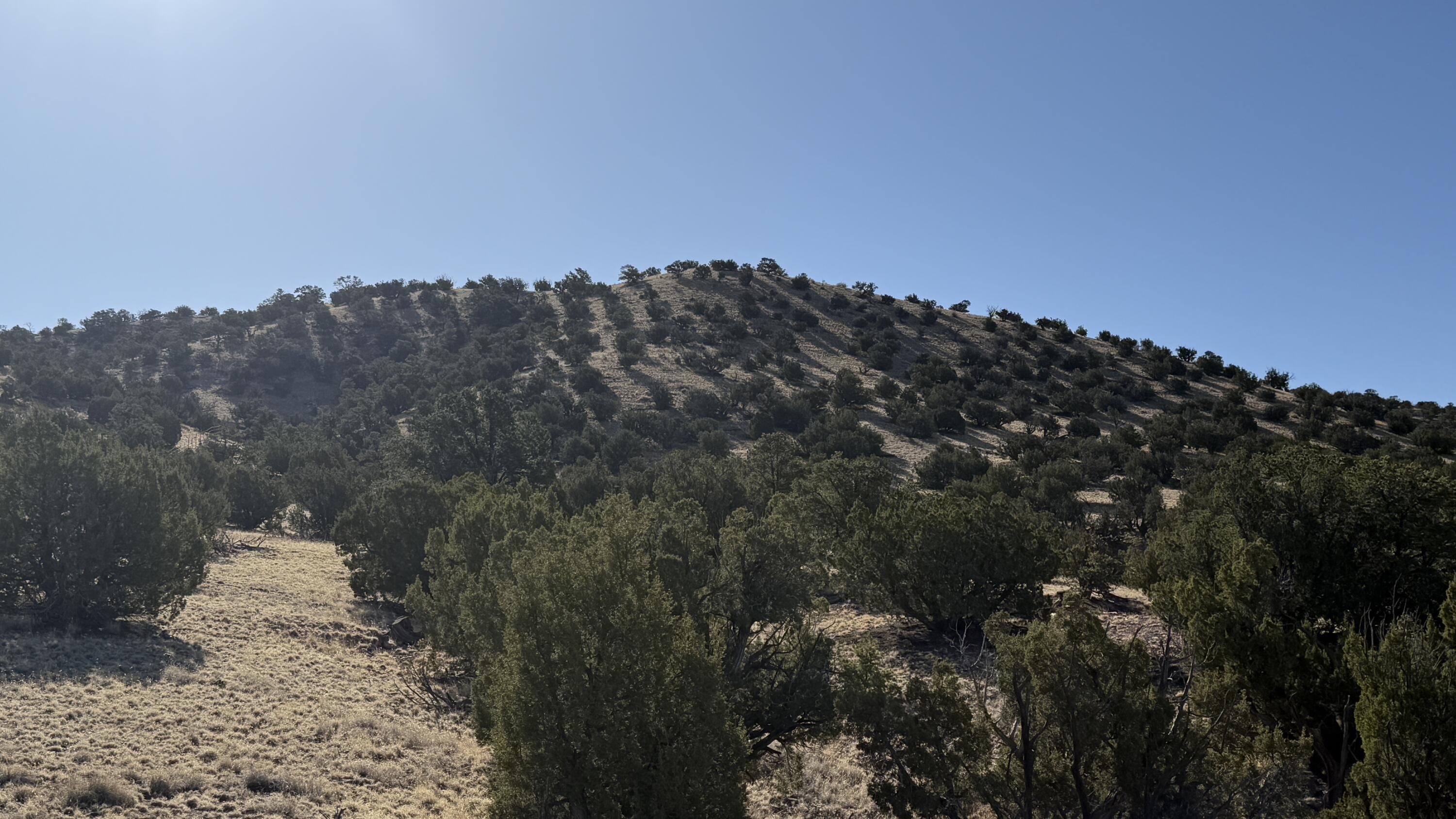 Photo 6 —  Lot 21 Pinon Springs Ranch