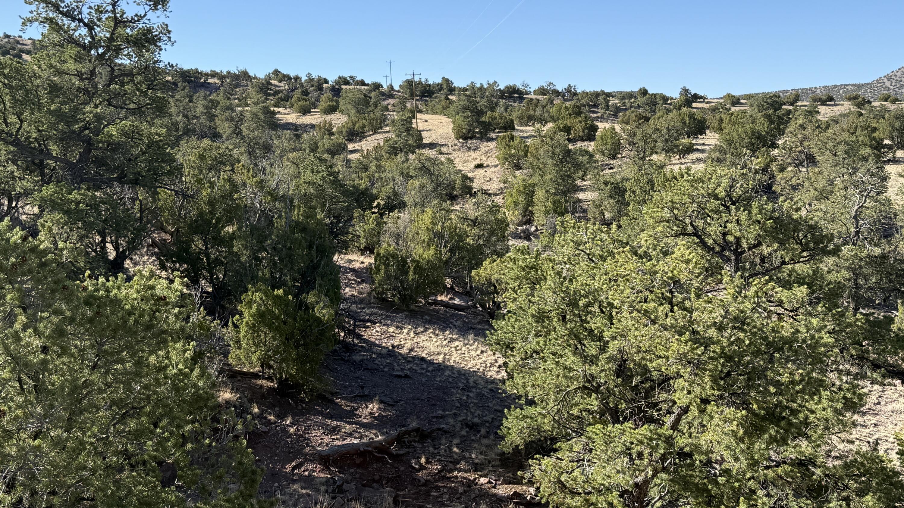 Photo 9 —  Lot 21 Pinon Springs Ranch