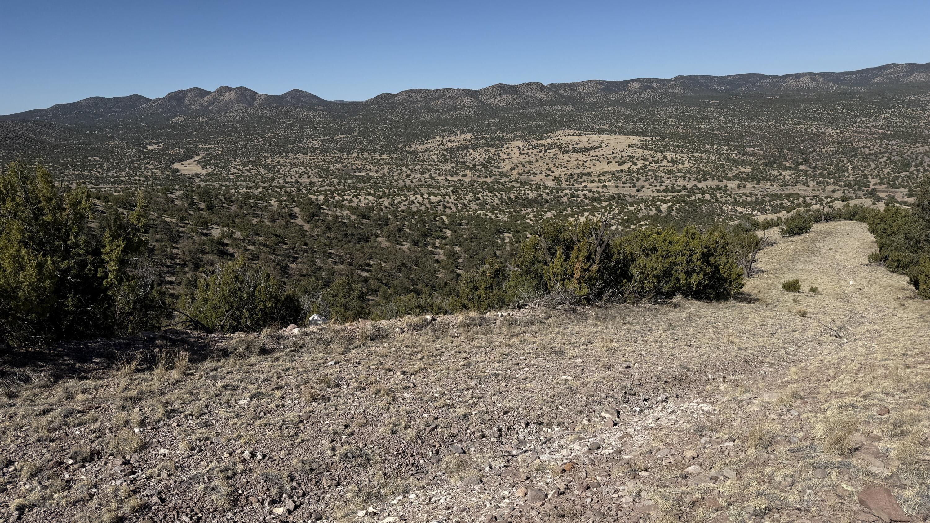 Photo 10 —  Lot 21 Pinon Springs Ranch