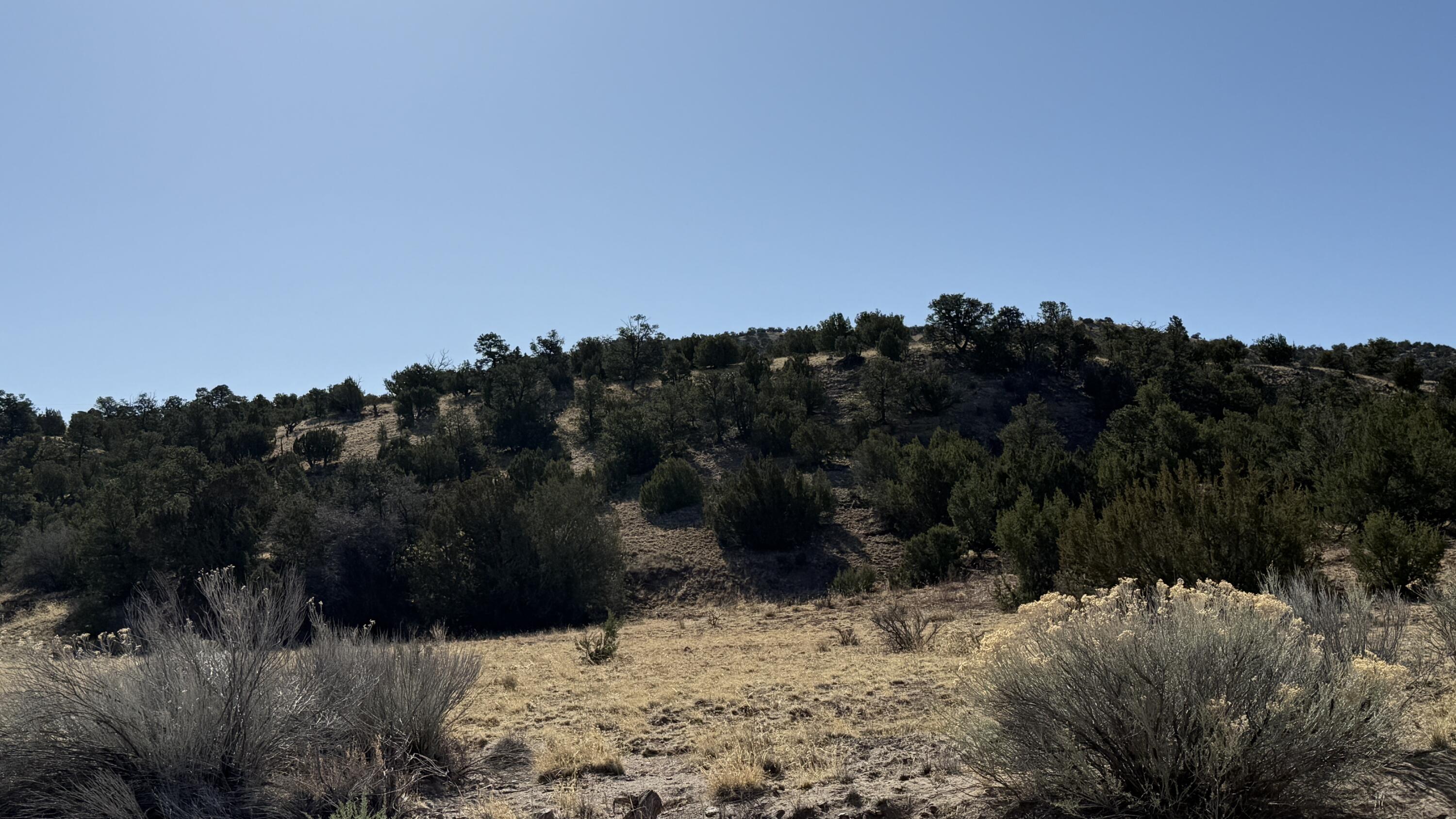 Photo 11 —  Lot 21 Pinon Springs Ranch