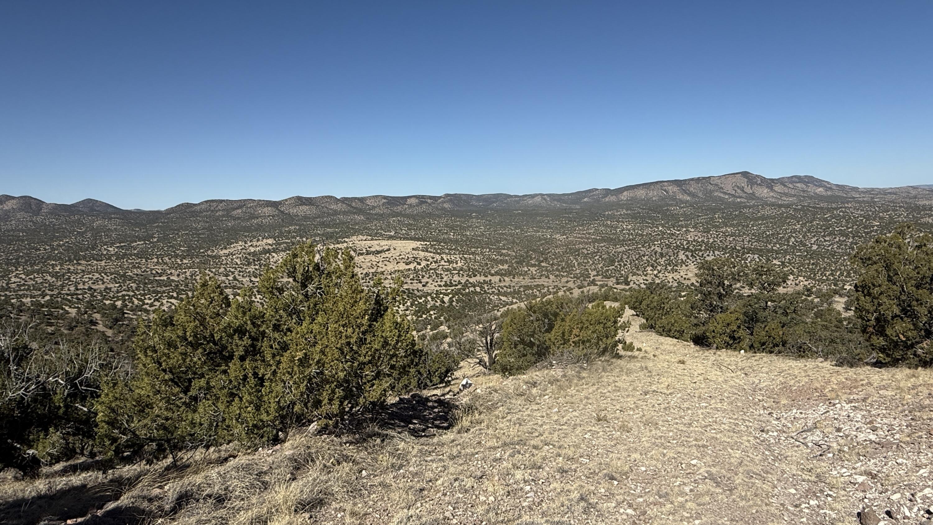 Photo 14 —  Lot 21 Pinon Springs Ranch