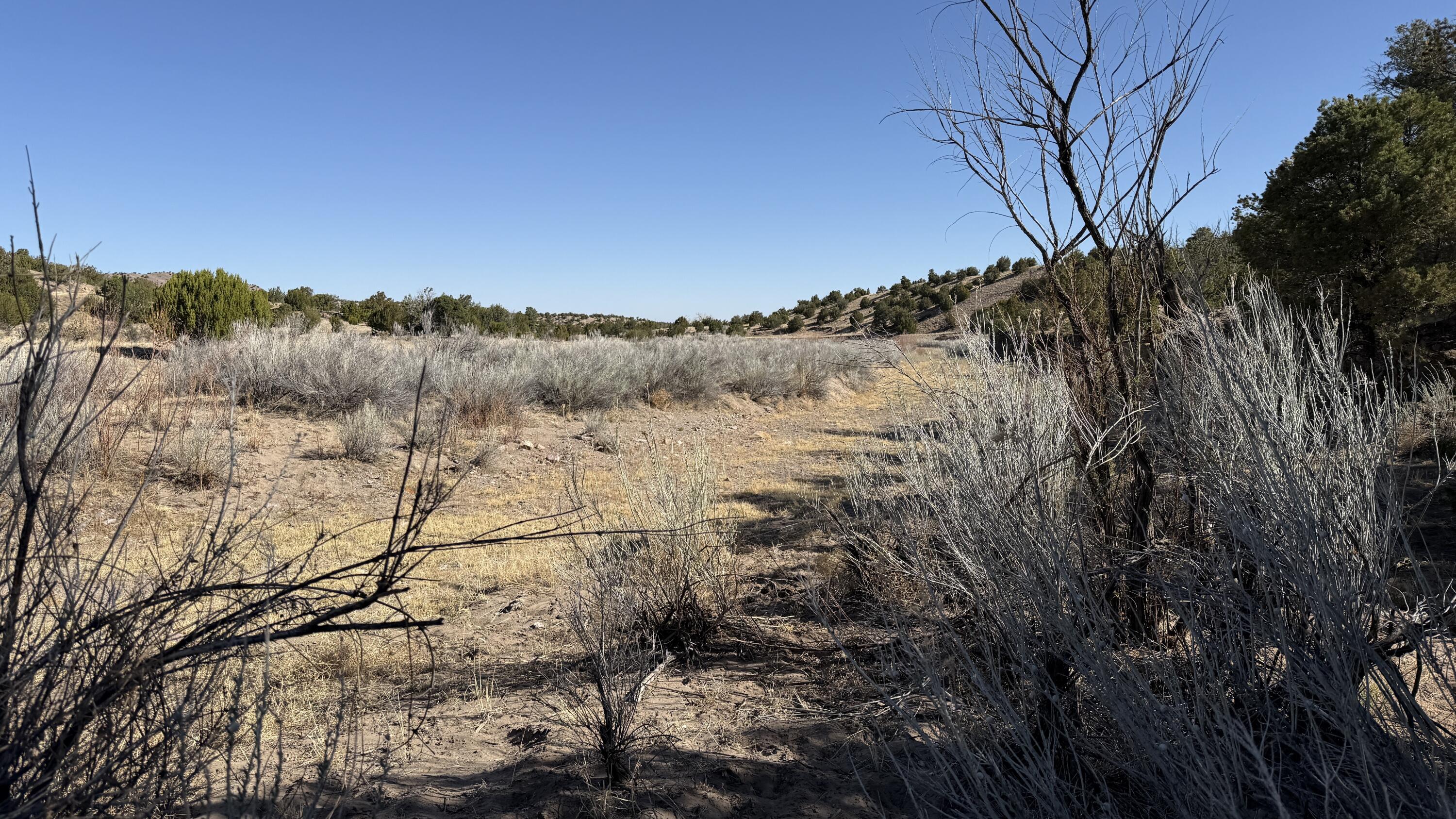 Photo 15 —  Lot 21 Pinon Springs Ranch