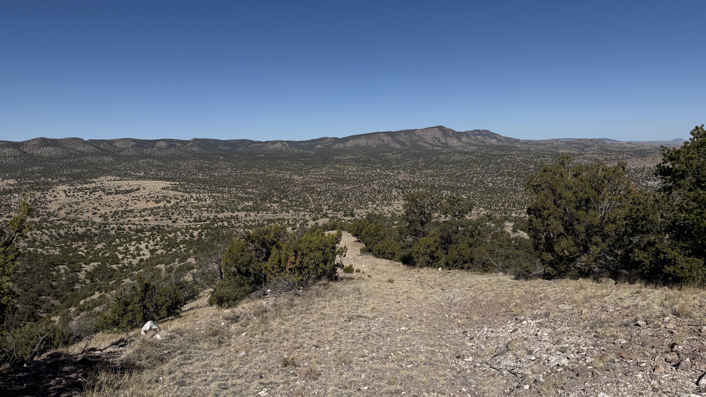 Photo 16 —  Lot 21 Pinon Springs Ranch